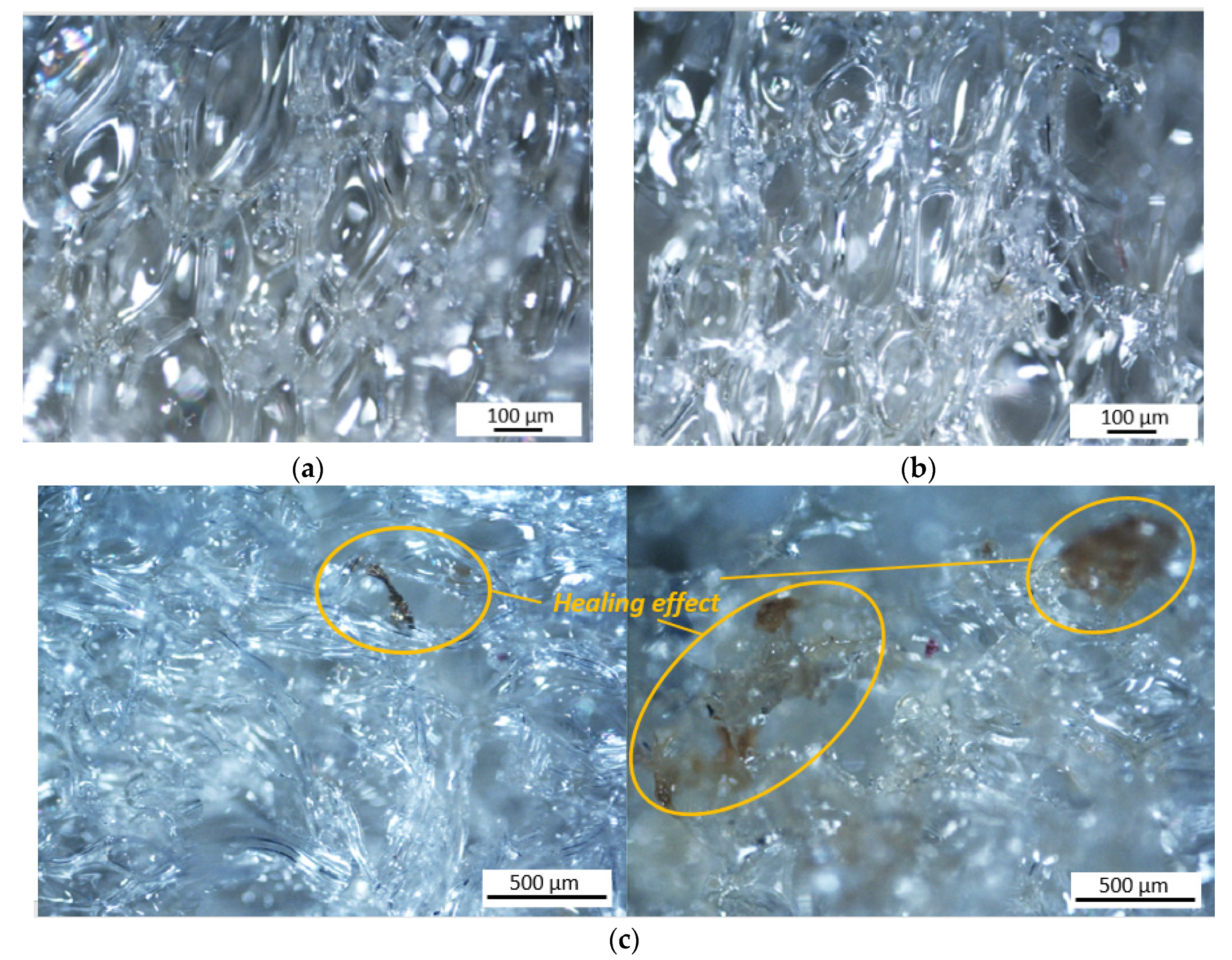 Polymers 13 03056 g009