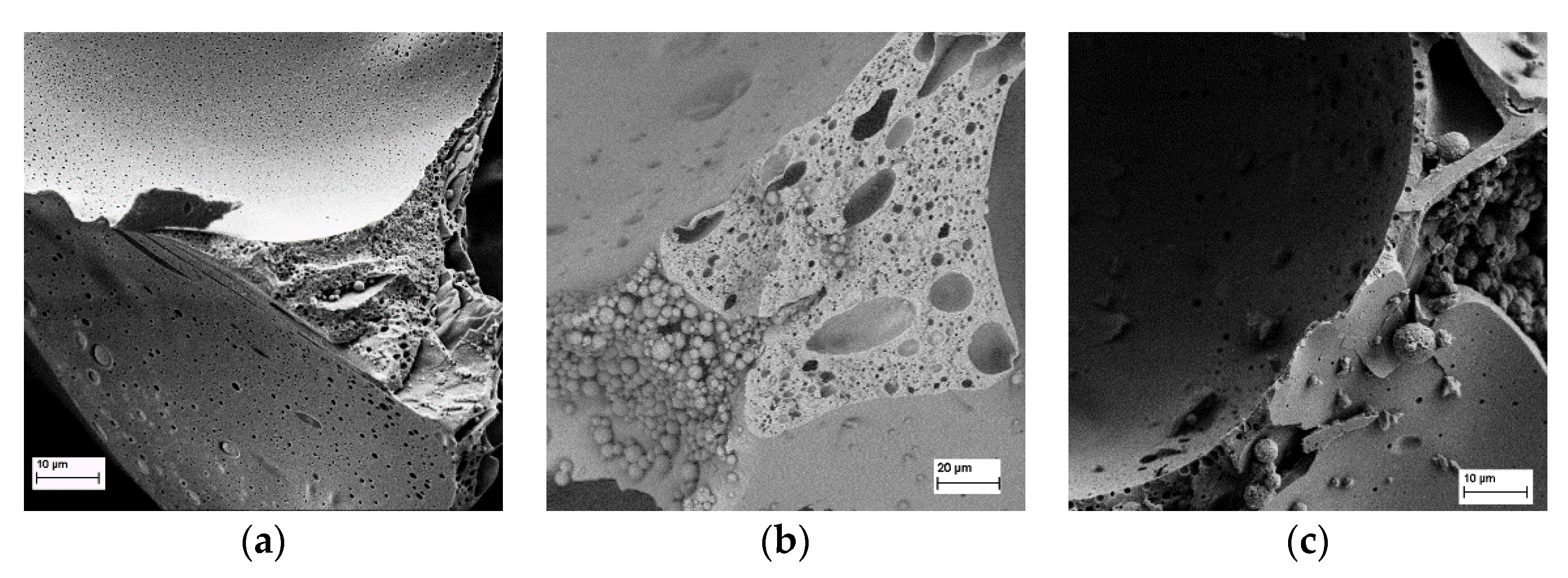 Polymers 13 03058 g004