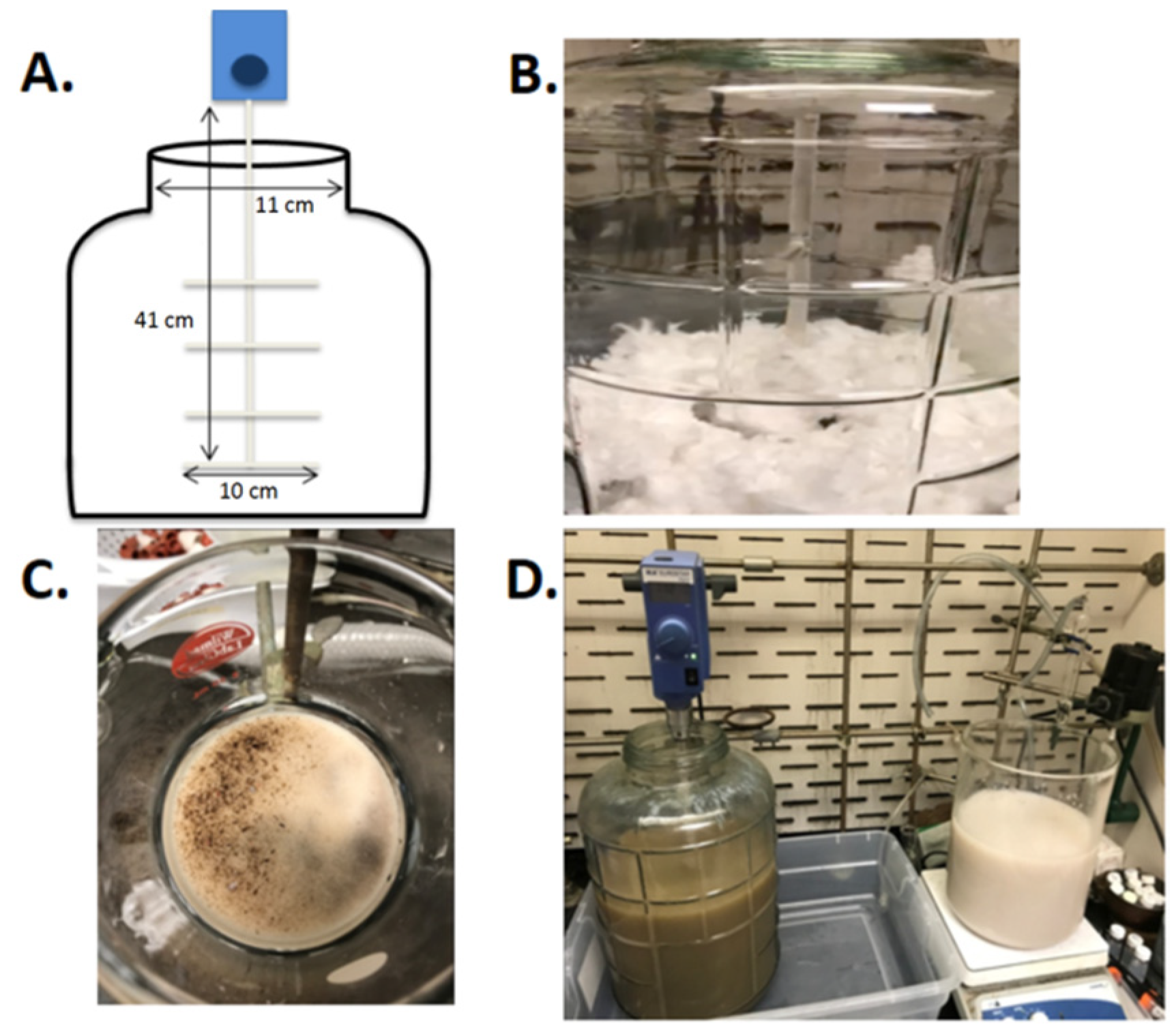 Polymers 13 03060 g001