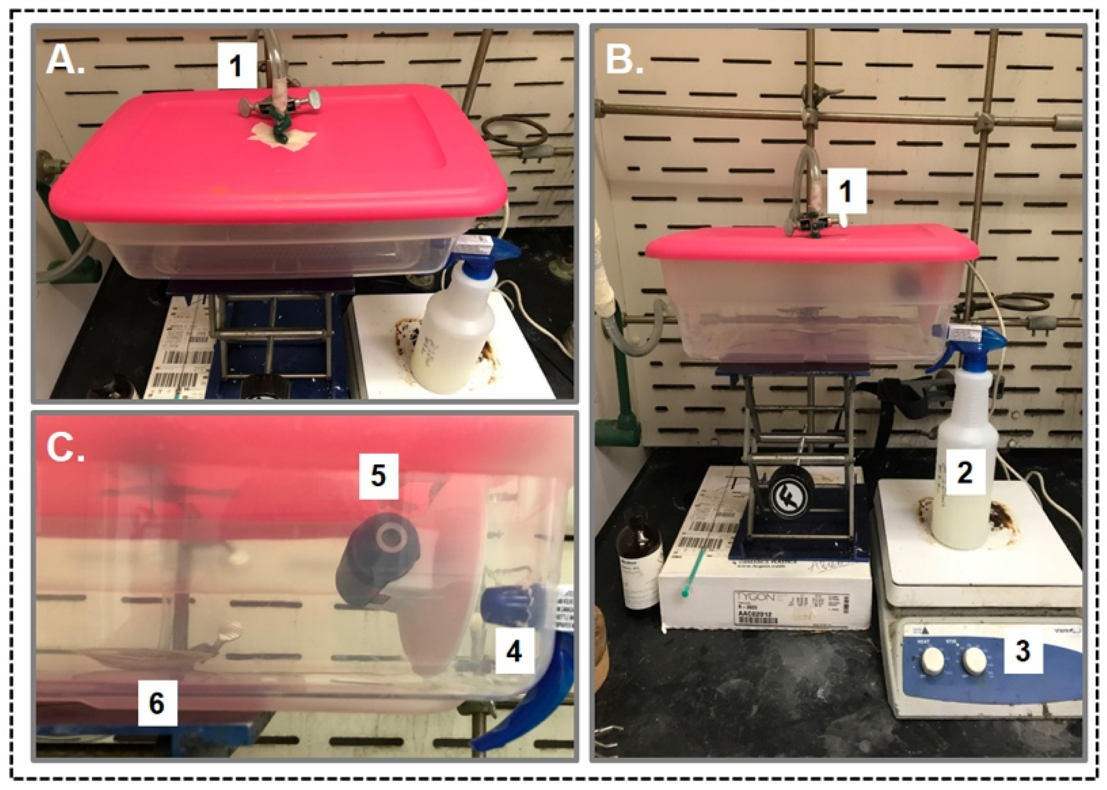 Polymers 13 03060 g003