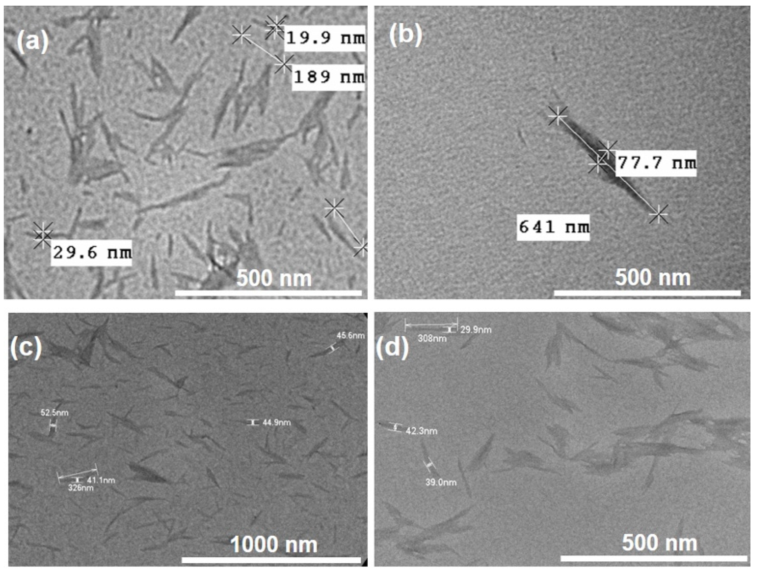 Polymers 13 03060 g004