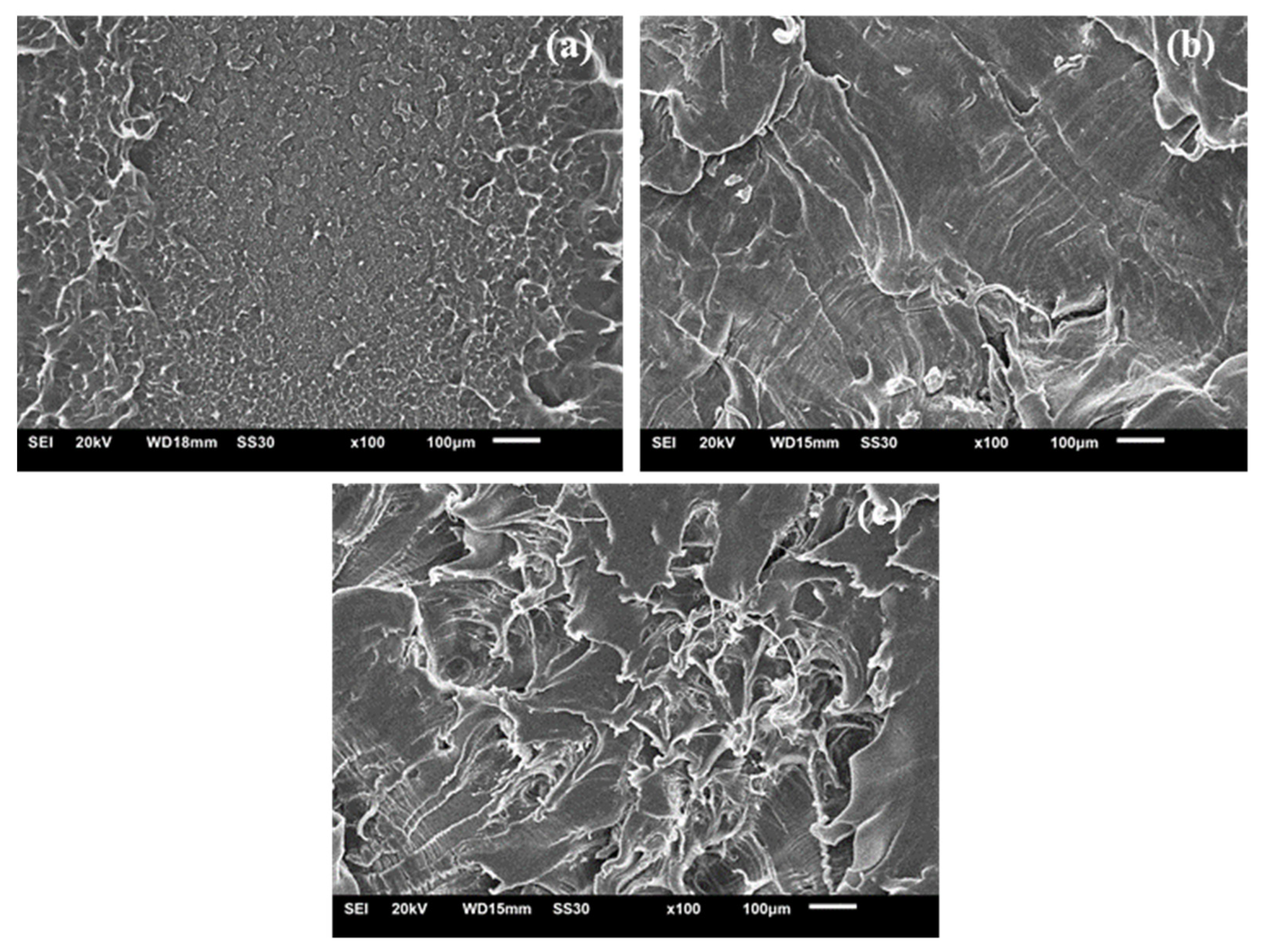Polymers 13 03062 g014