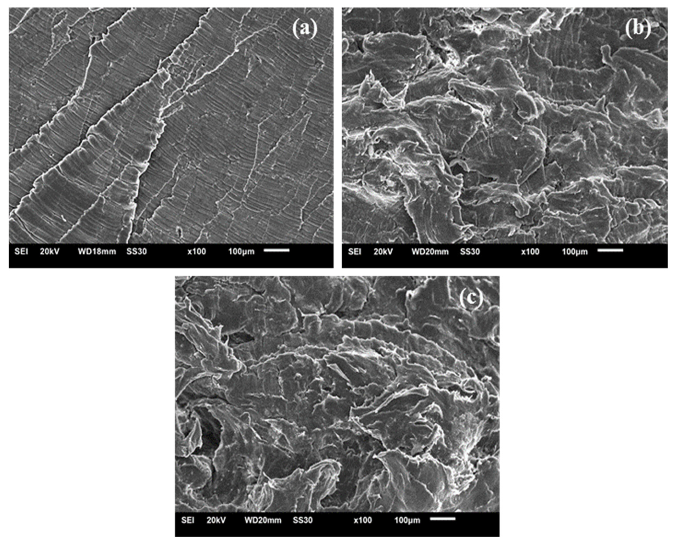 Polymers 13 03062 g015
