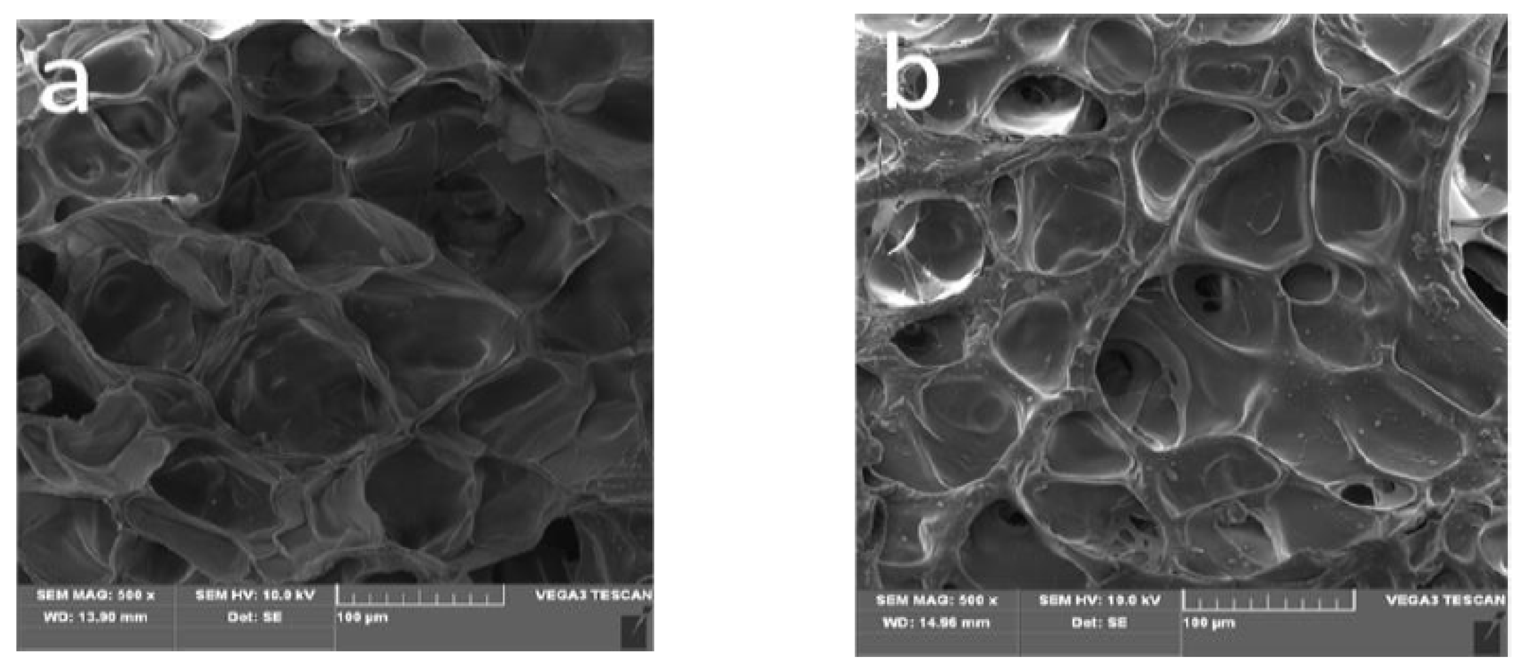 Polymers 13 03063 g003