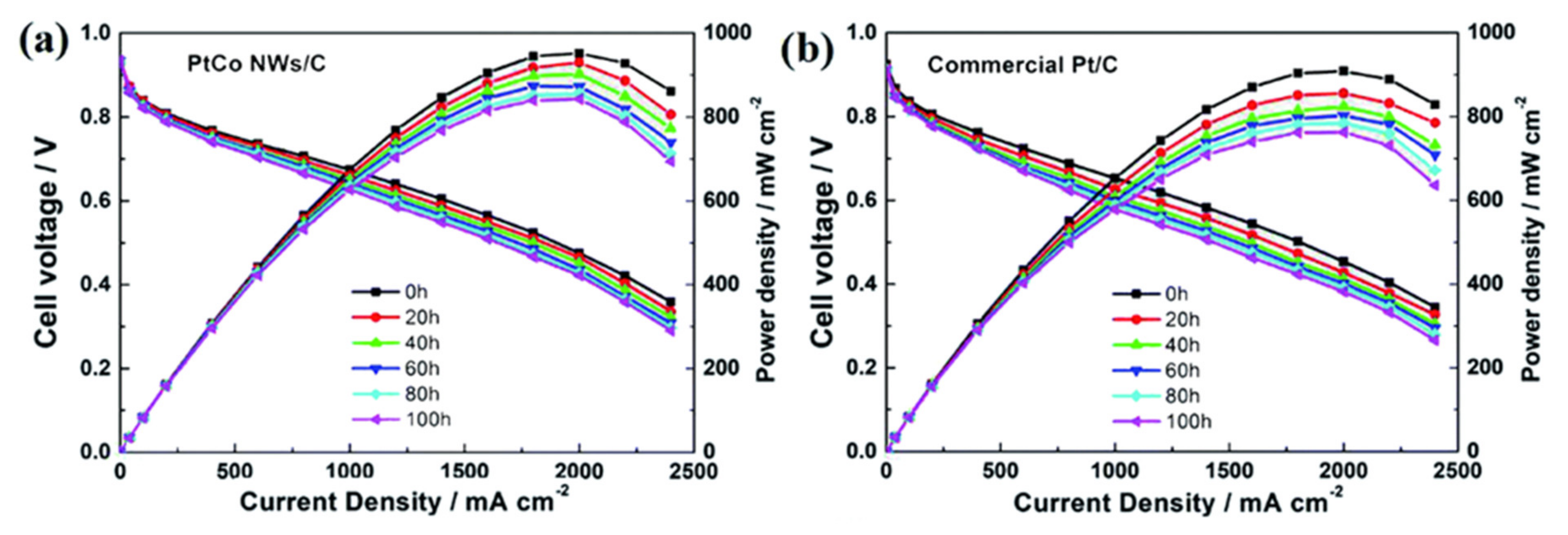 Polymers 13 03064 g012 550