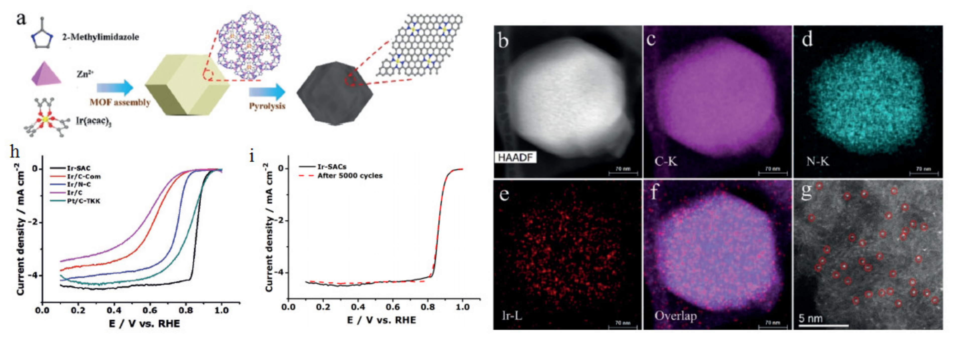 Polymers 13 03064 g018 550