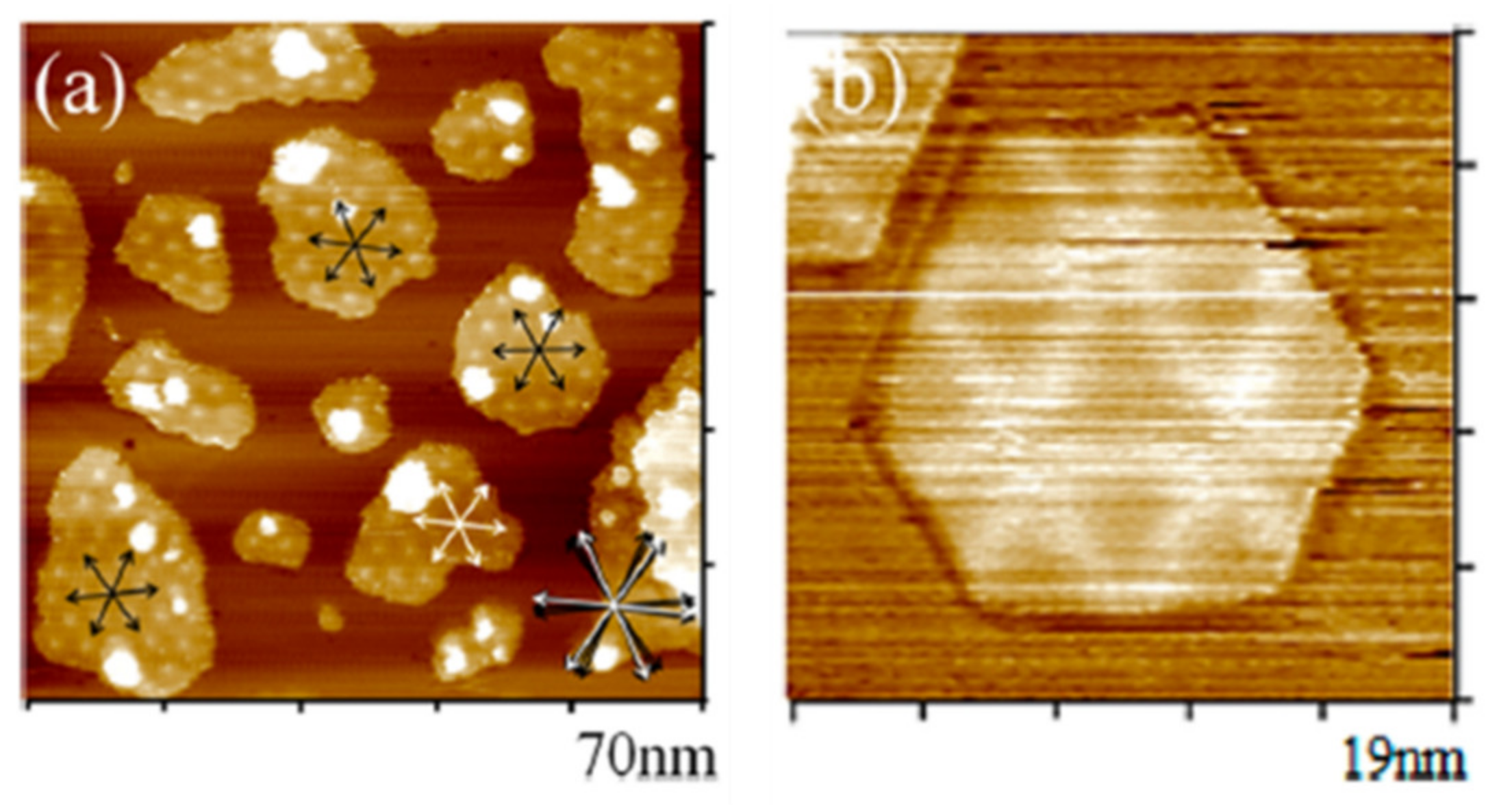 Polymers 13 03064 g020 550