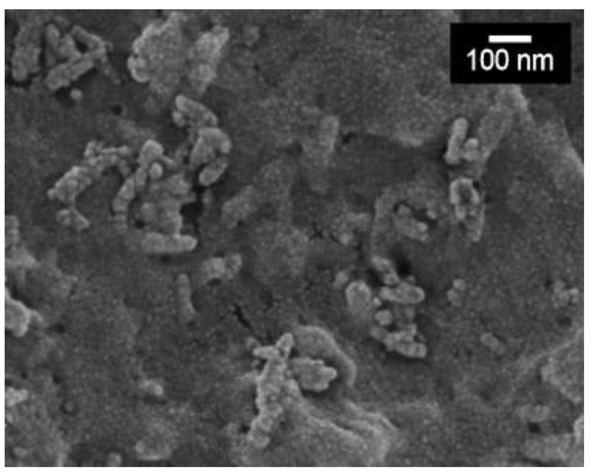 Polymers 13 03070 g002