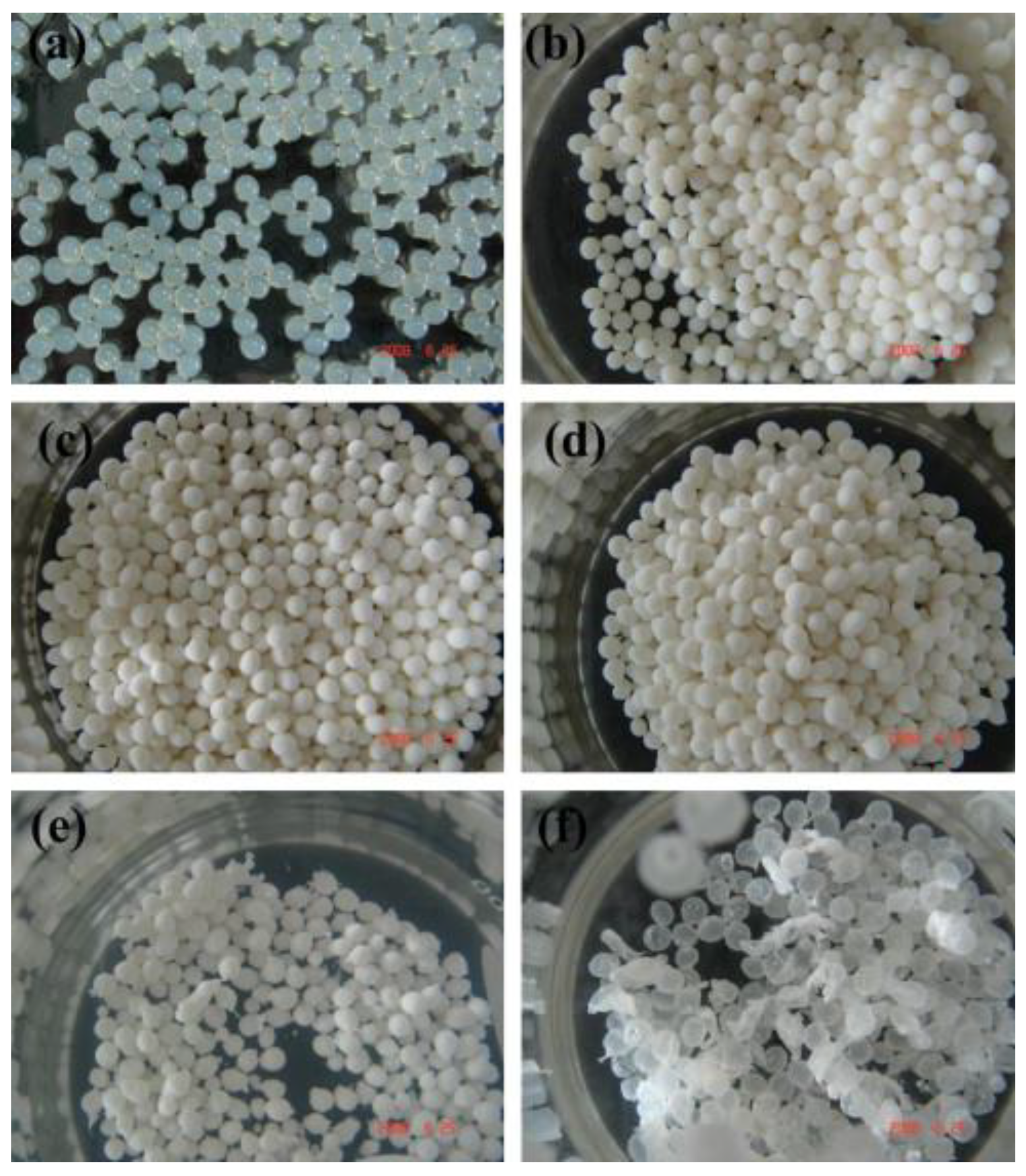 Polymers 13 03070 g007