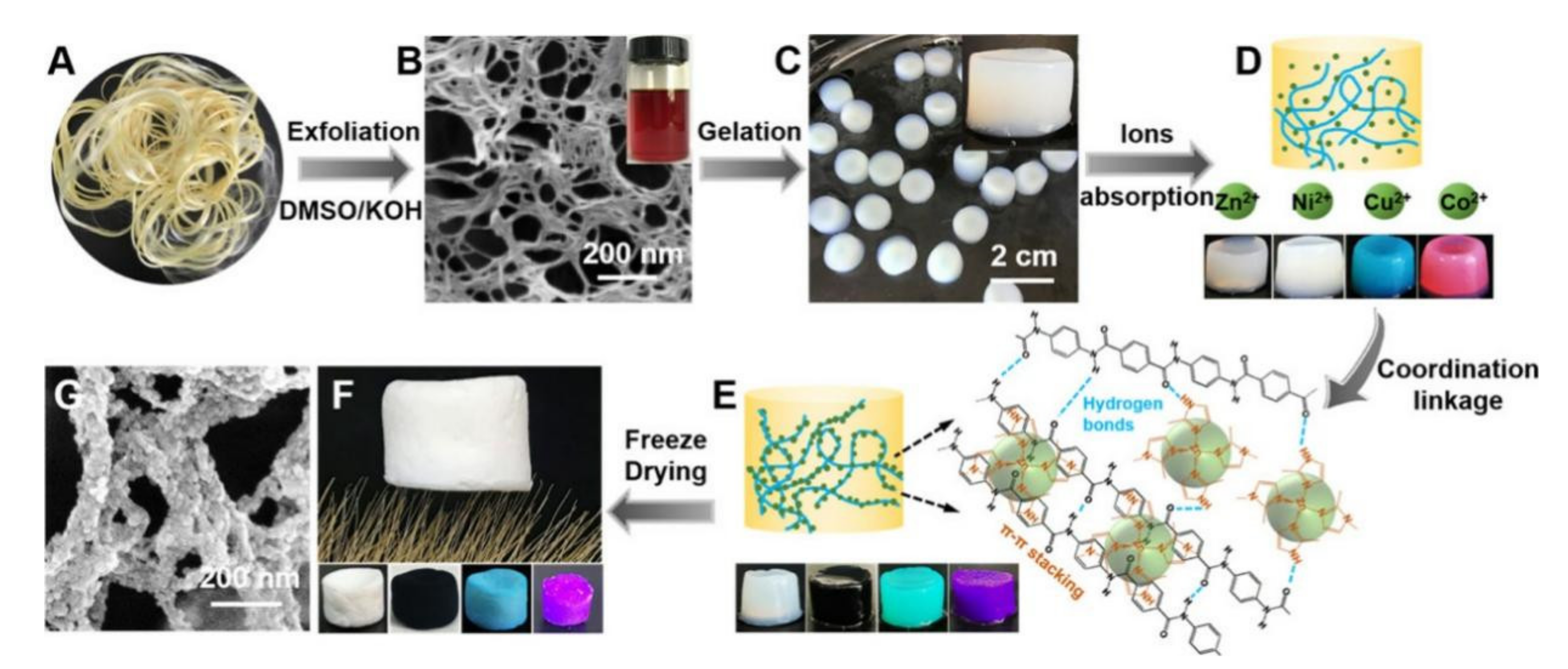 Polymers 13 03071 g004