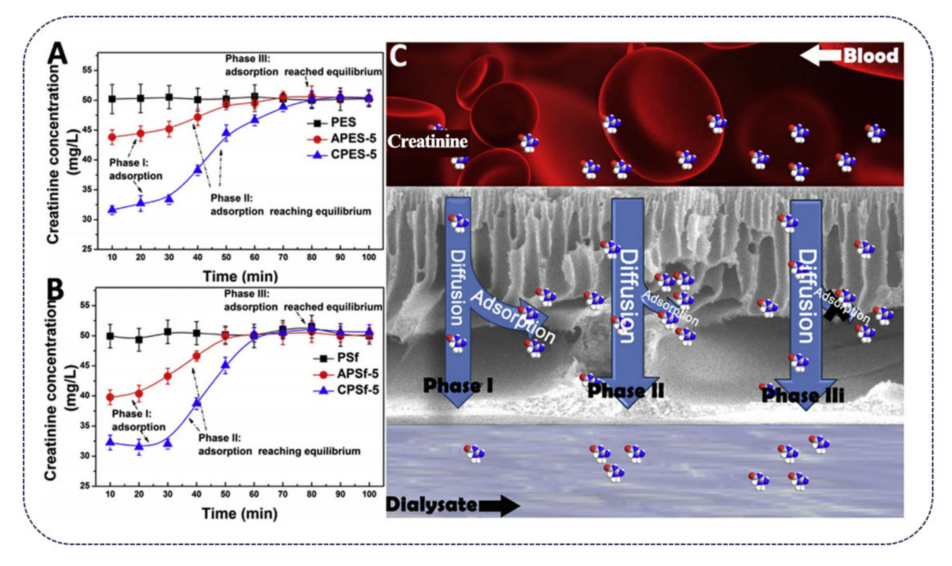 Polymers 13 03071 g005