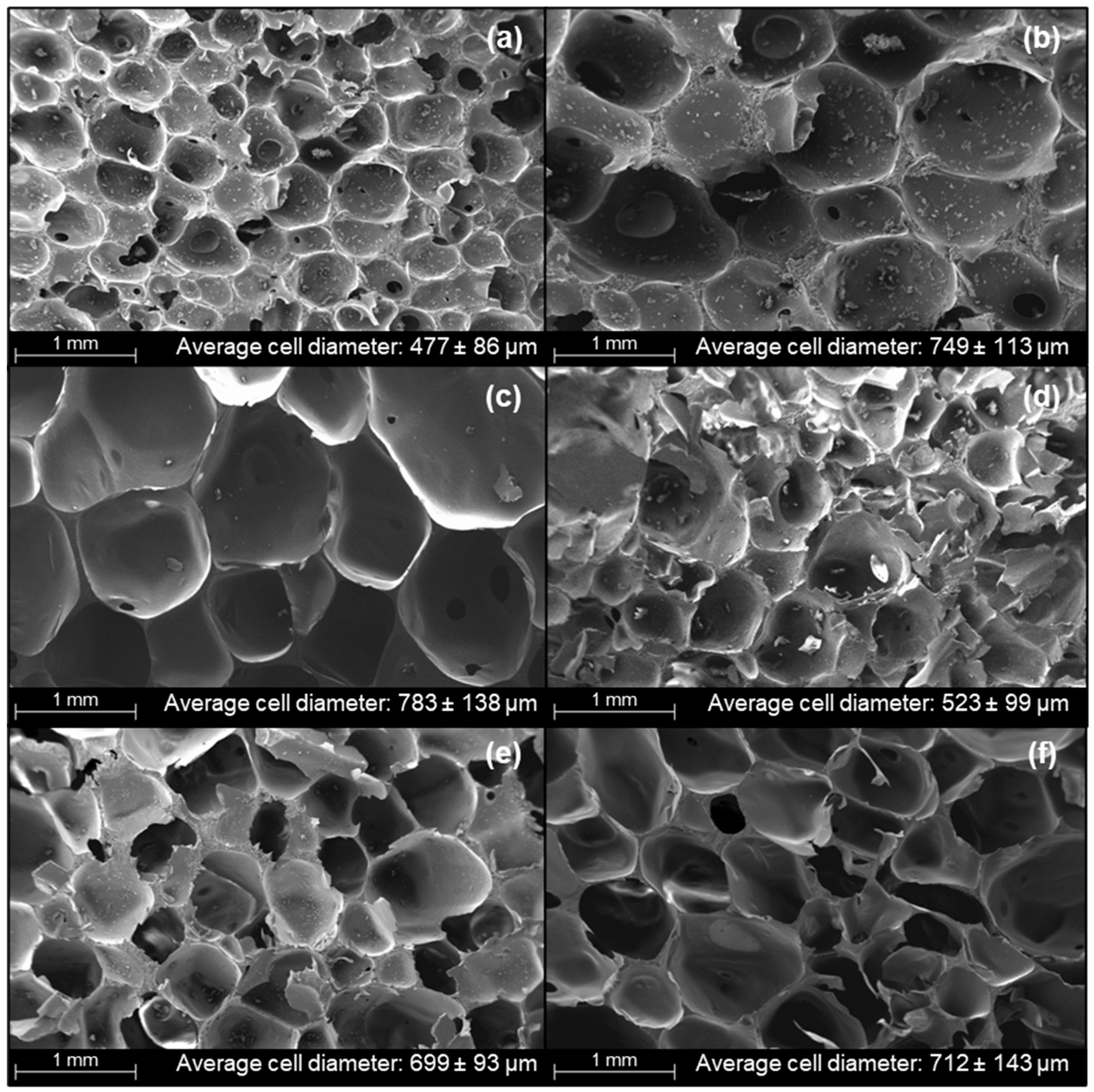 Polymers 13 03072 g003 550