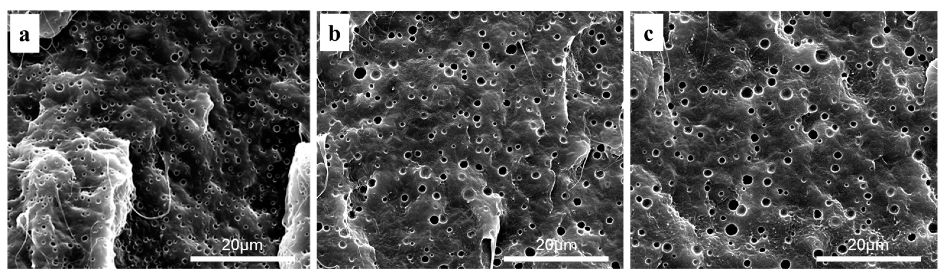 Polymers 13 03076 g0a1