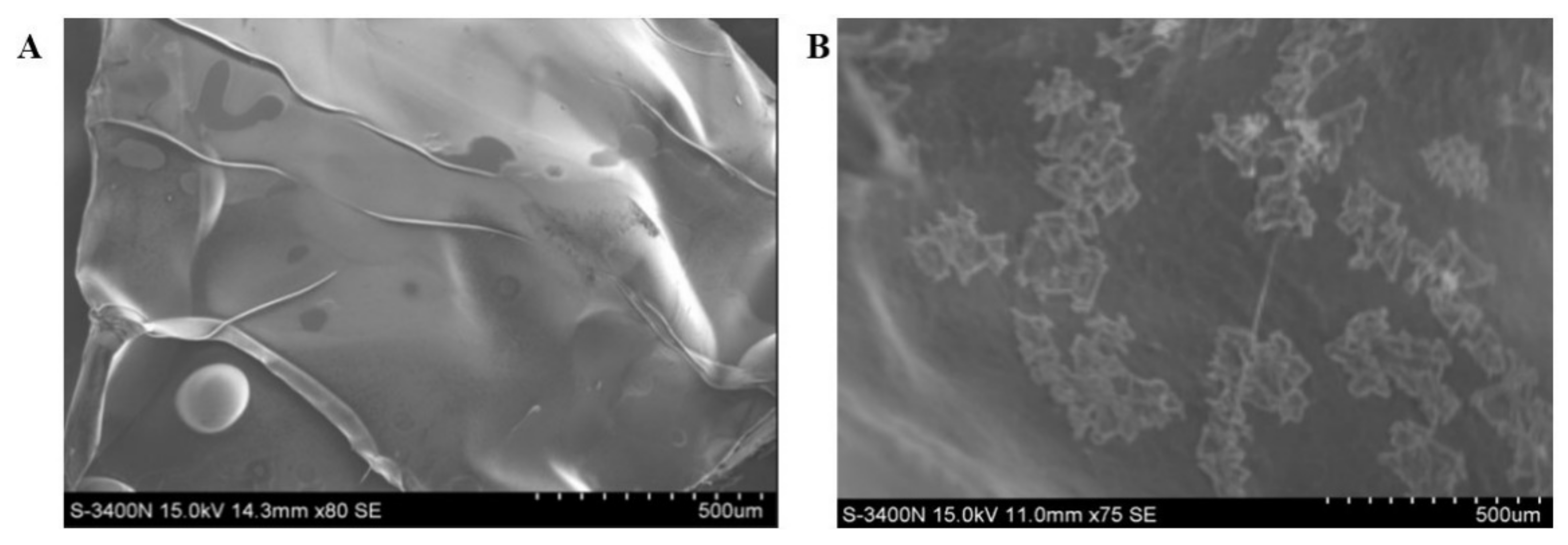 Polymers 13 03079 g003 550