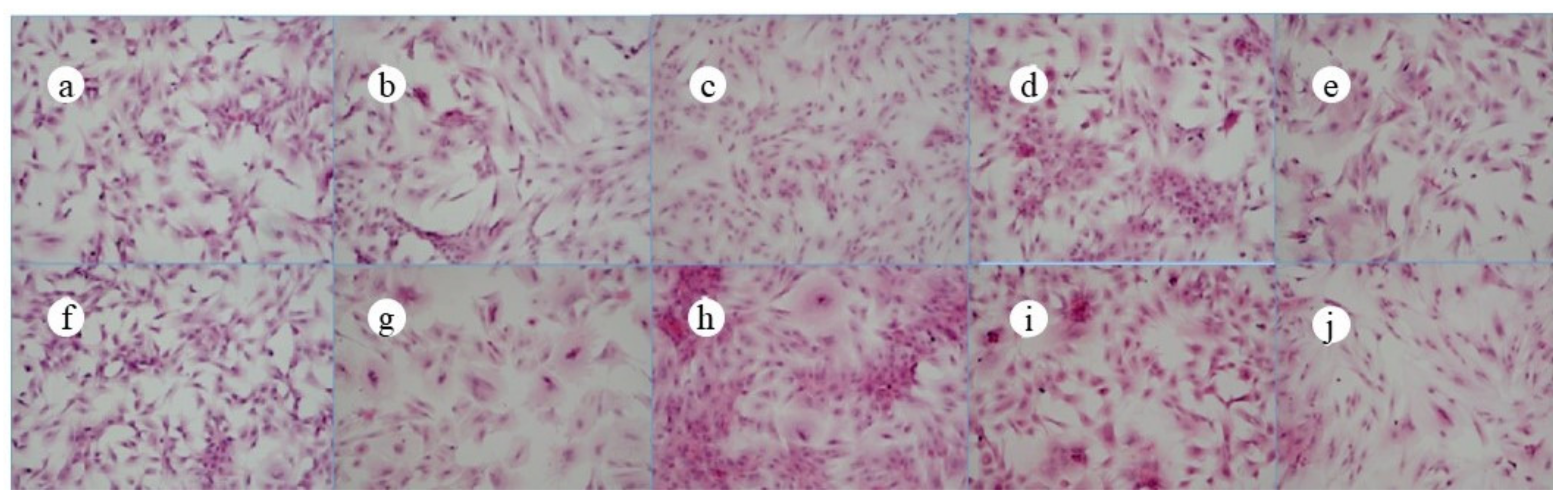 Polymers 13 03079 g005 550