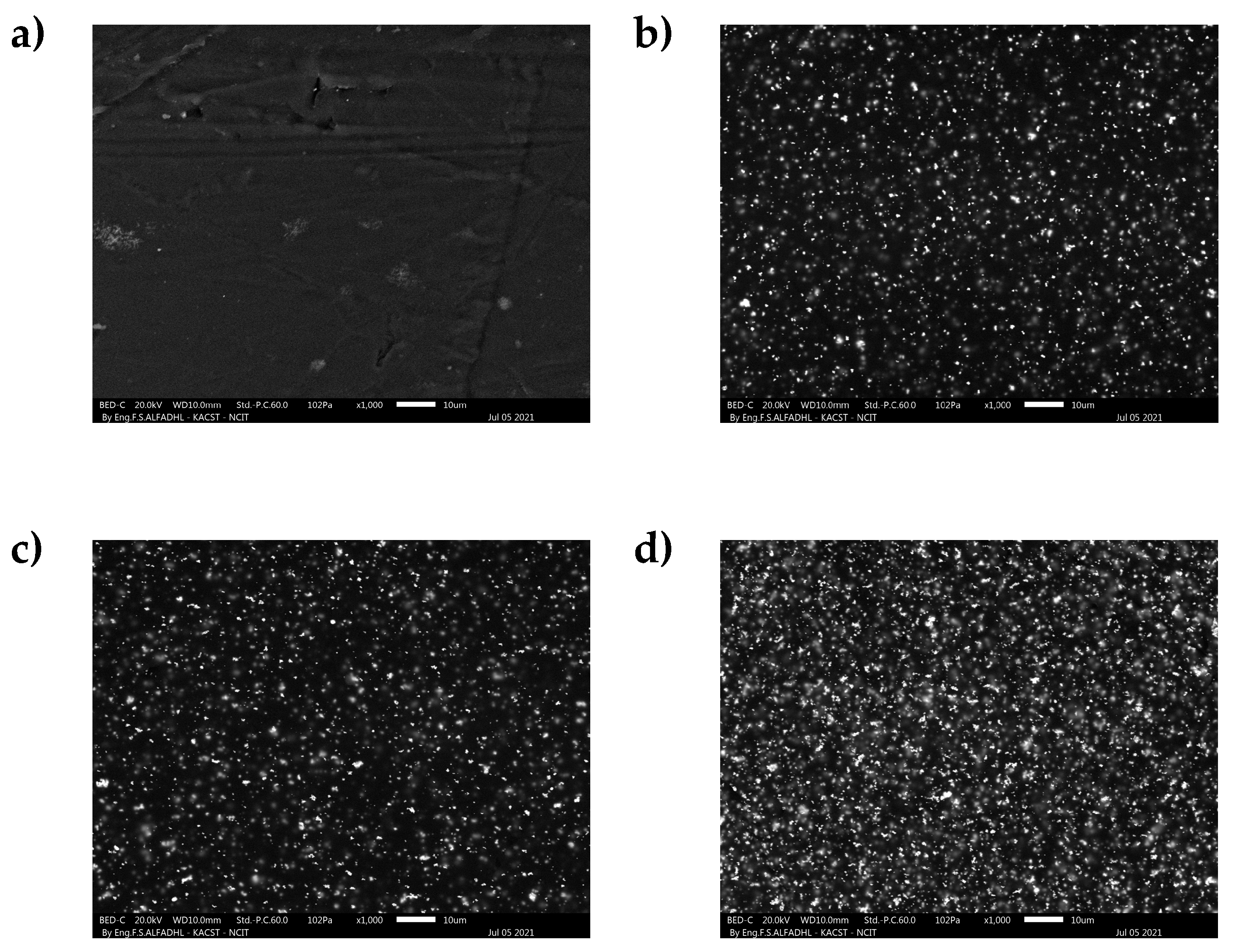 Polymers 13 03081 g004