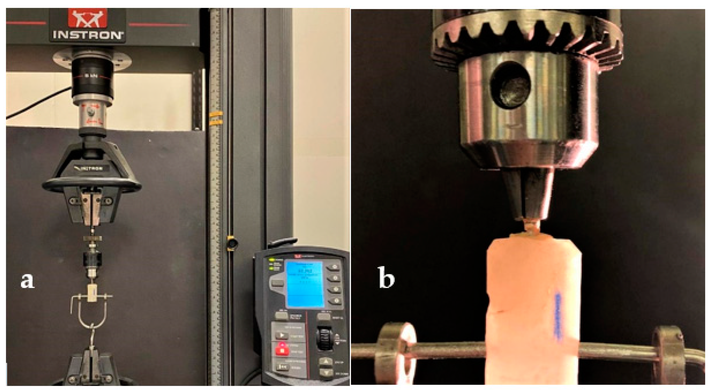 Polymers 13 03082 g004