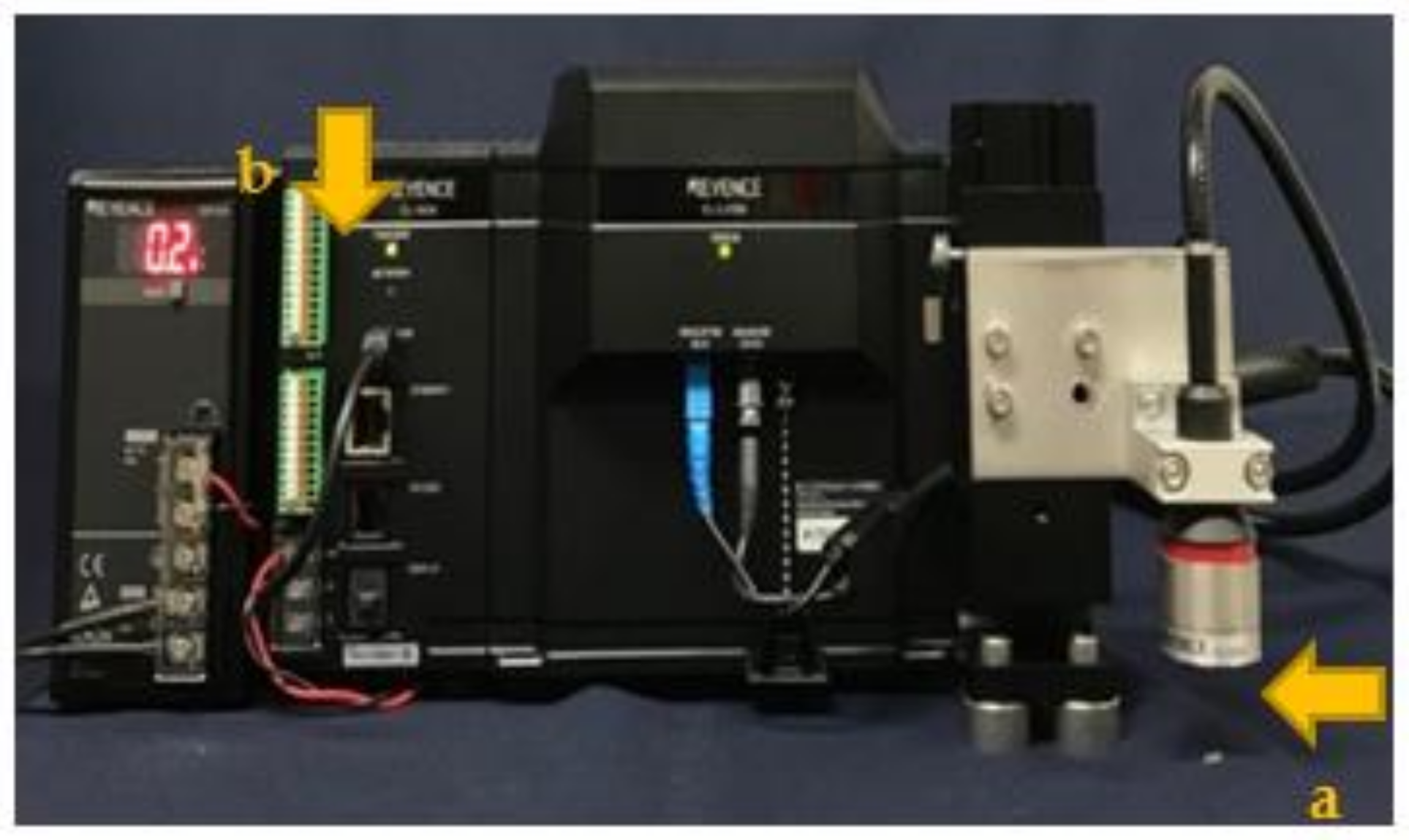 Polymers 13 03088 g001