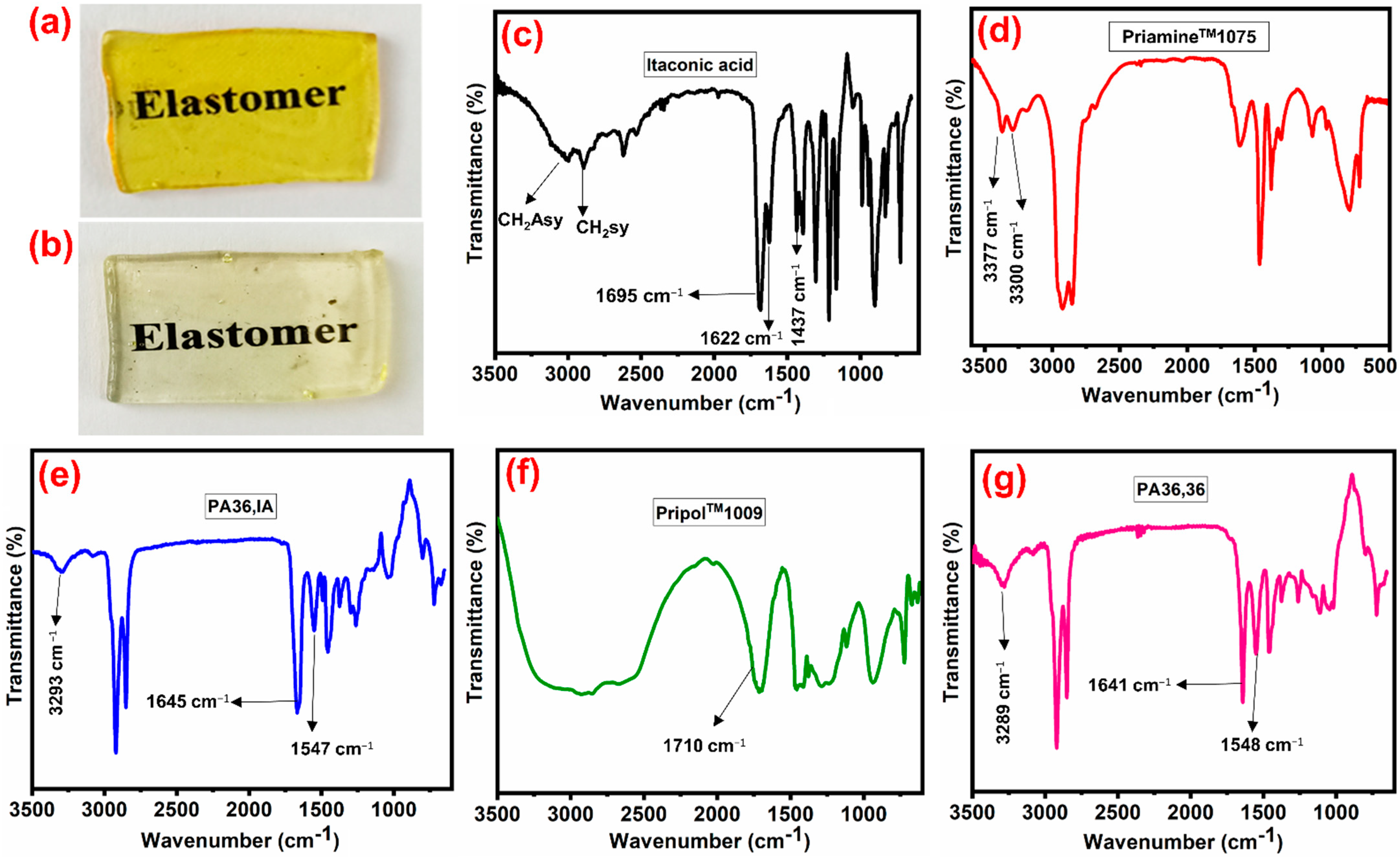 Polymers 13 03089 g001