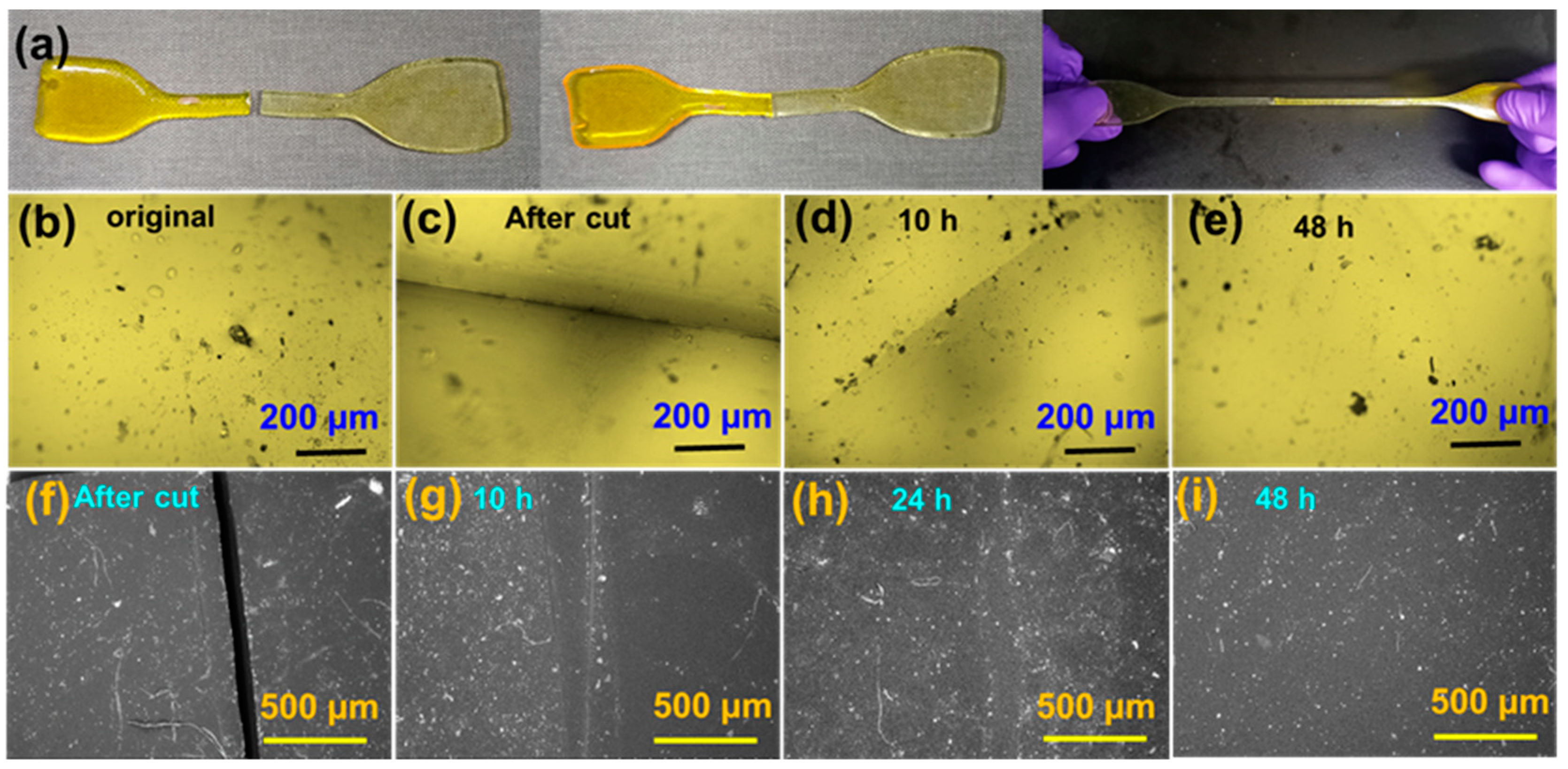 Polymers 13 03089 g007