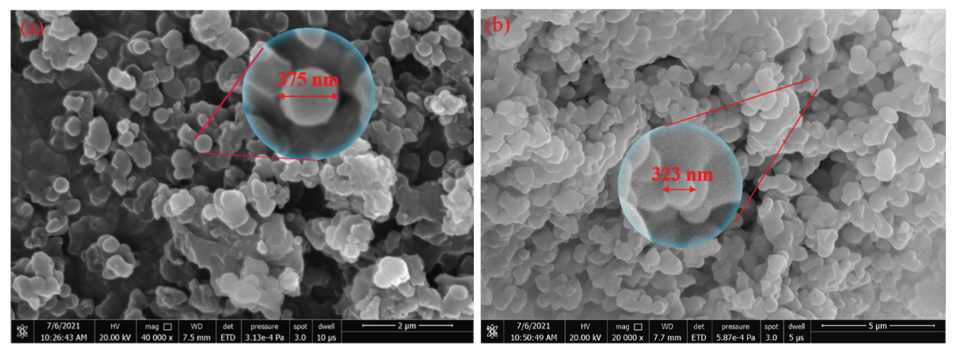 Polymers 13 03091 g002