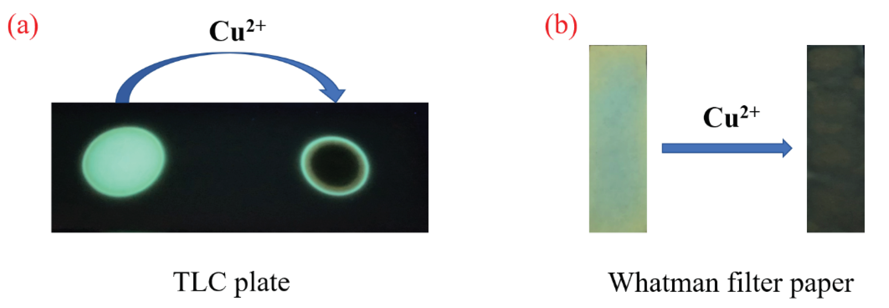Polymers 13 03091 g010