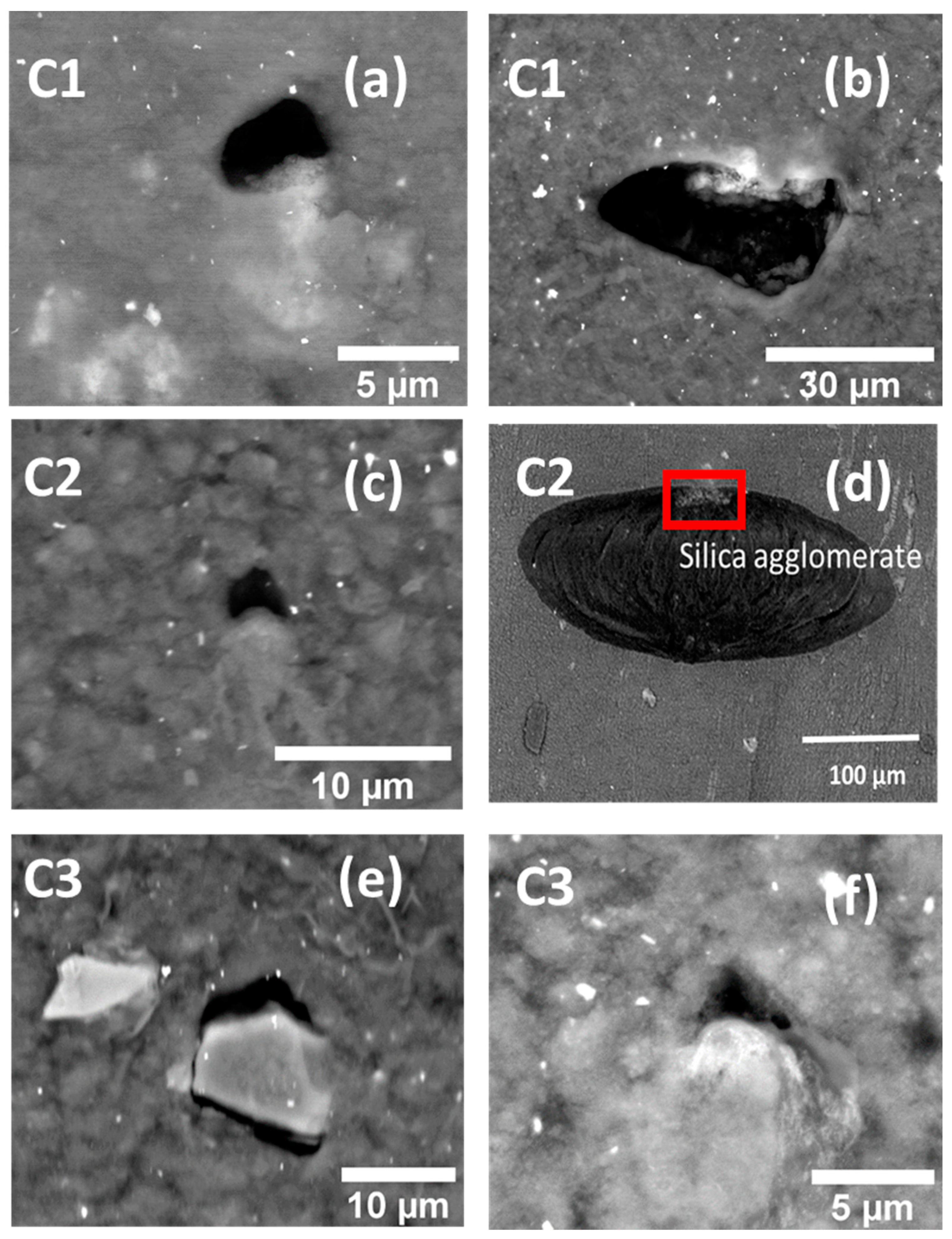 Polymers 13 03094 g007