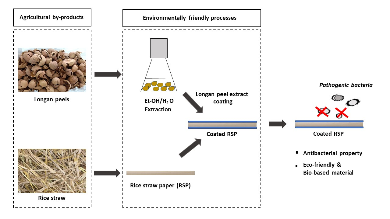 Polymers Free FullText EcoFriendly Rice Straw Paper Coated with