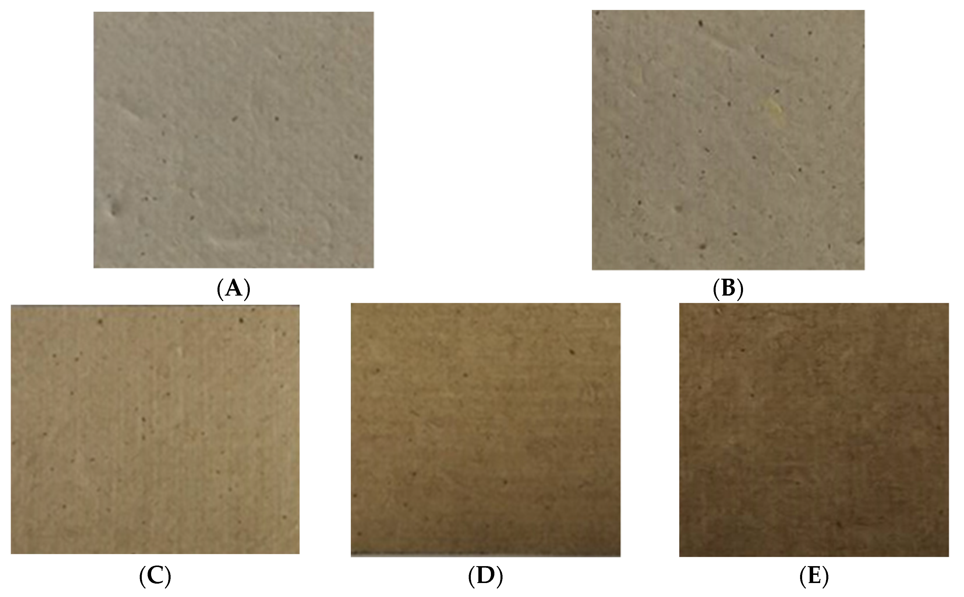 Polymers 13 03096 g003 550