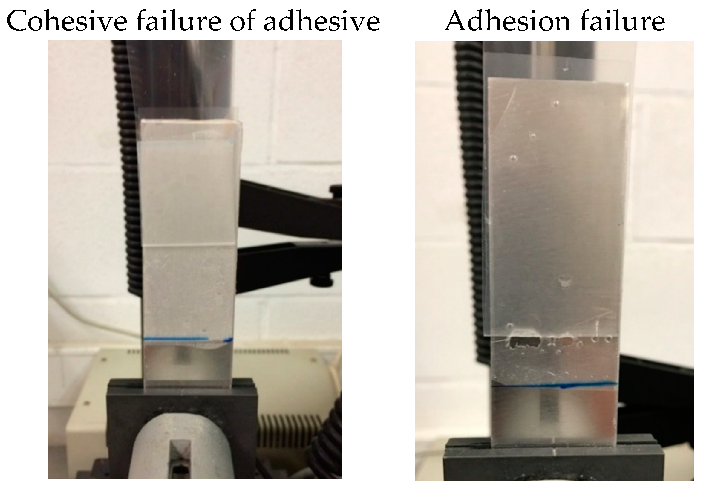 Polymers 13 03097 g010 550