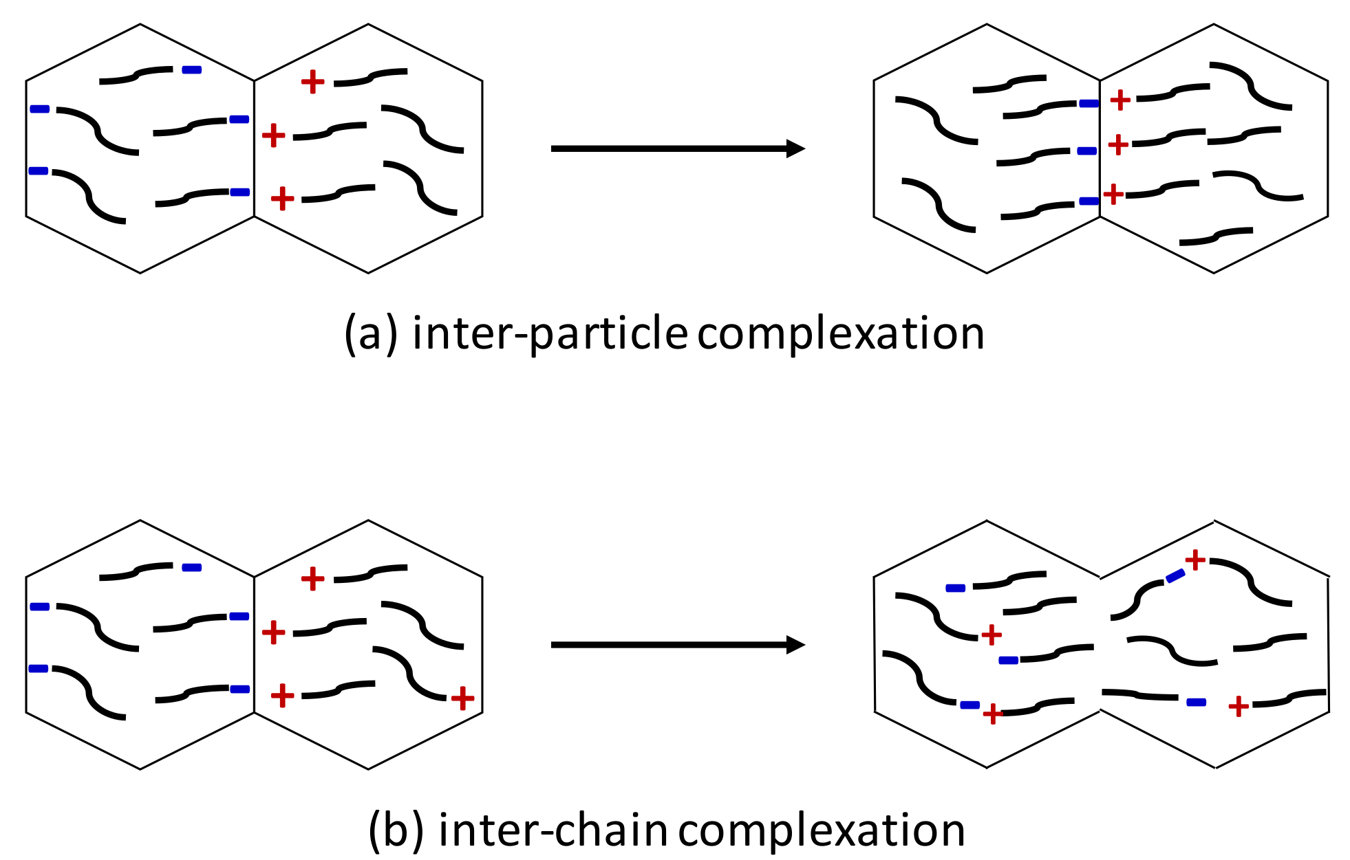 Polymers 13 03098 g006