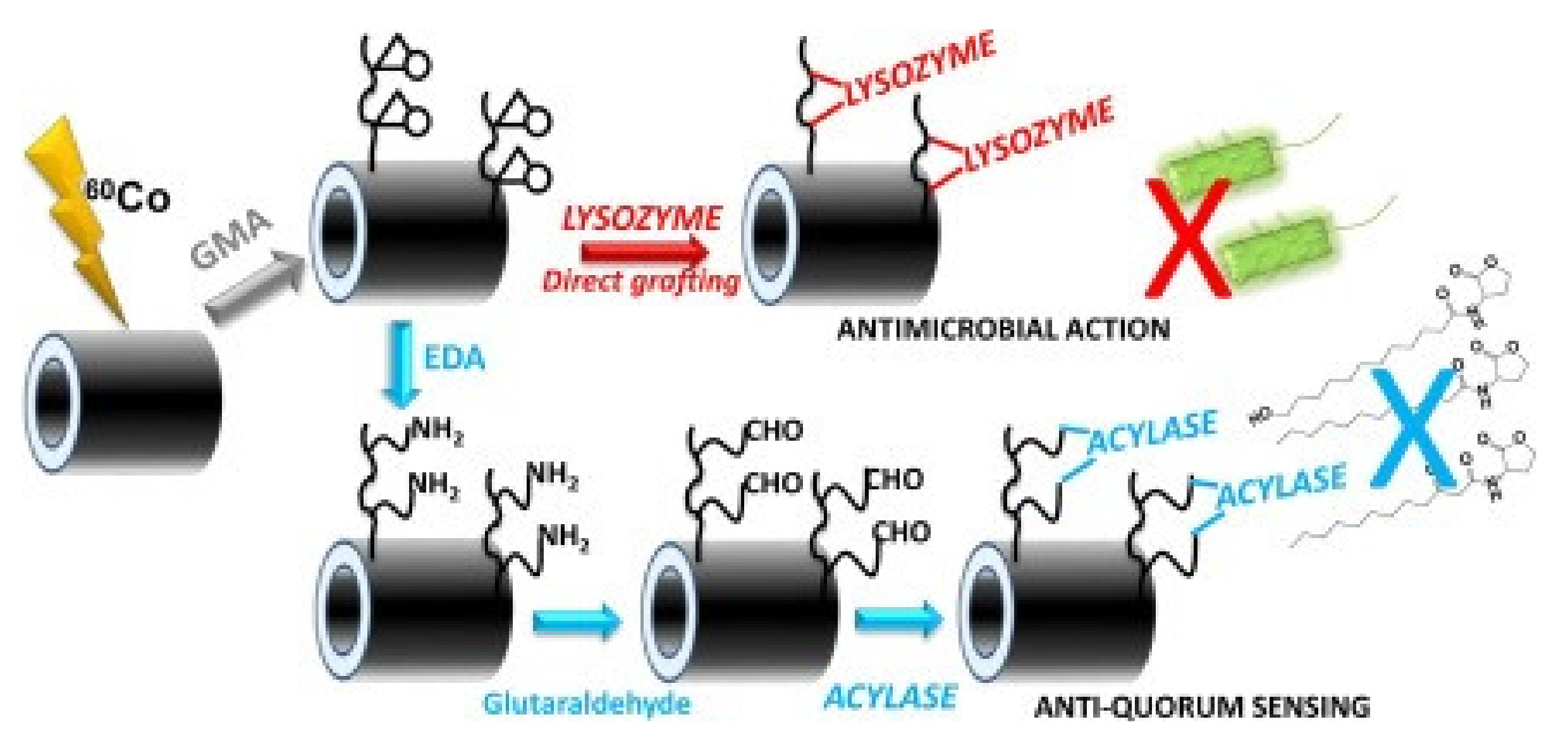 Polymers 13 03102 g008 Polymers 13 03102 g008