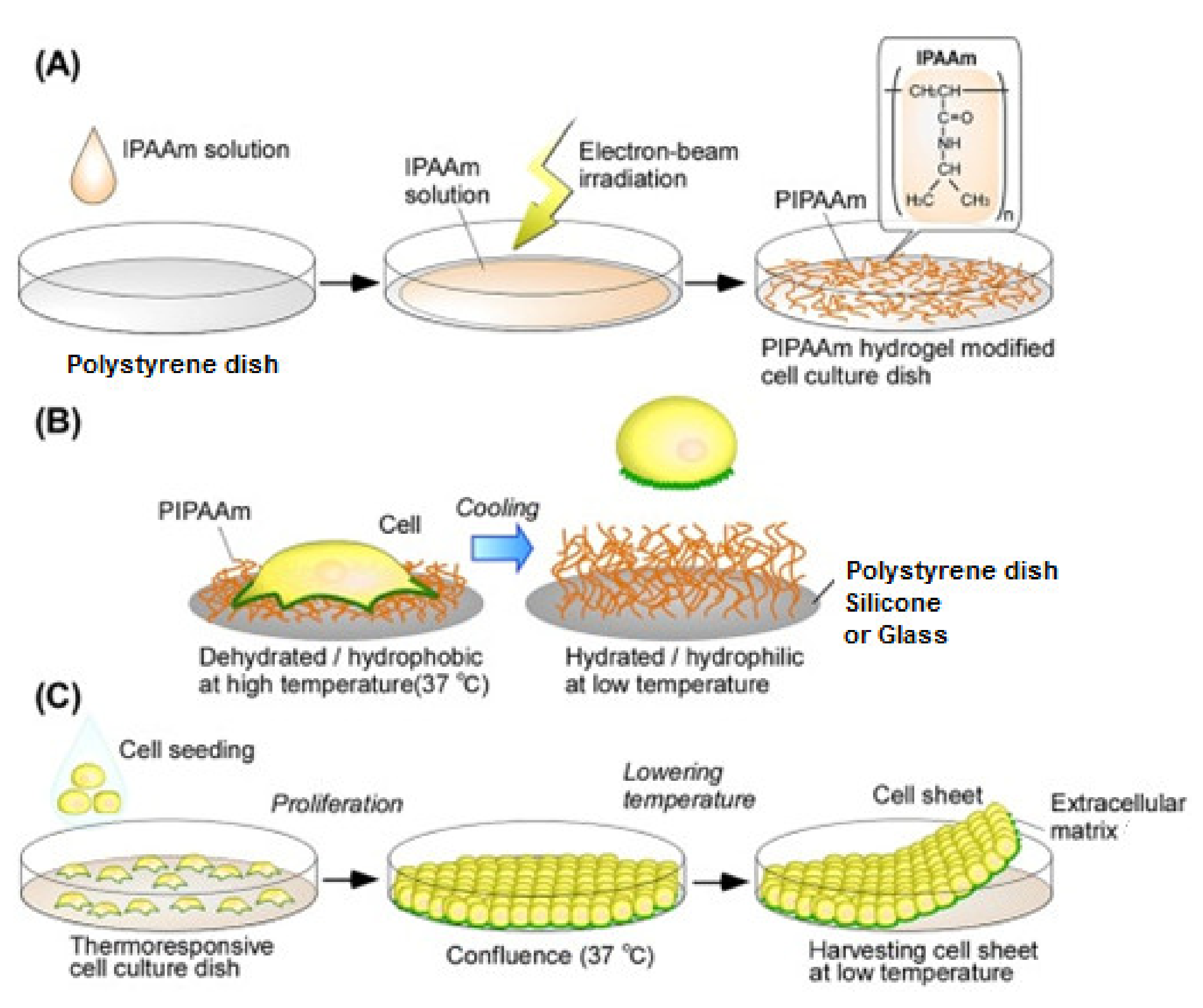 Polymers 13 03102 g012 Polymers 13 03102 g012