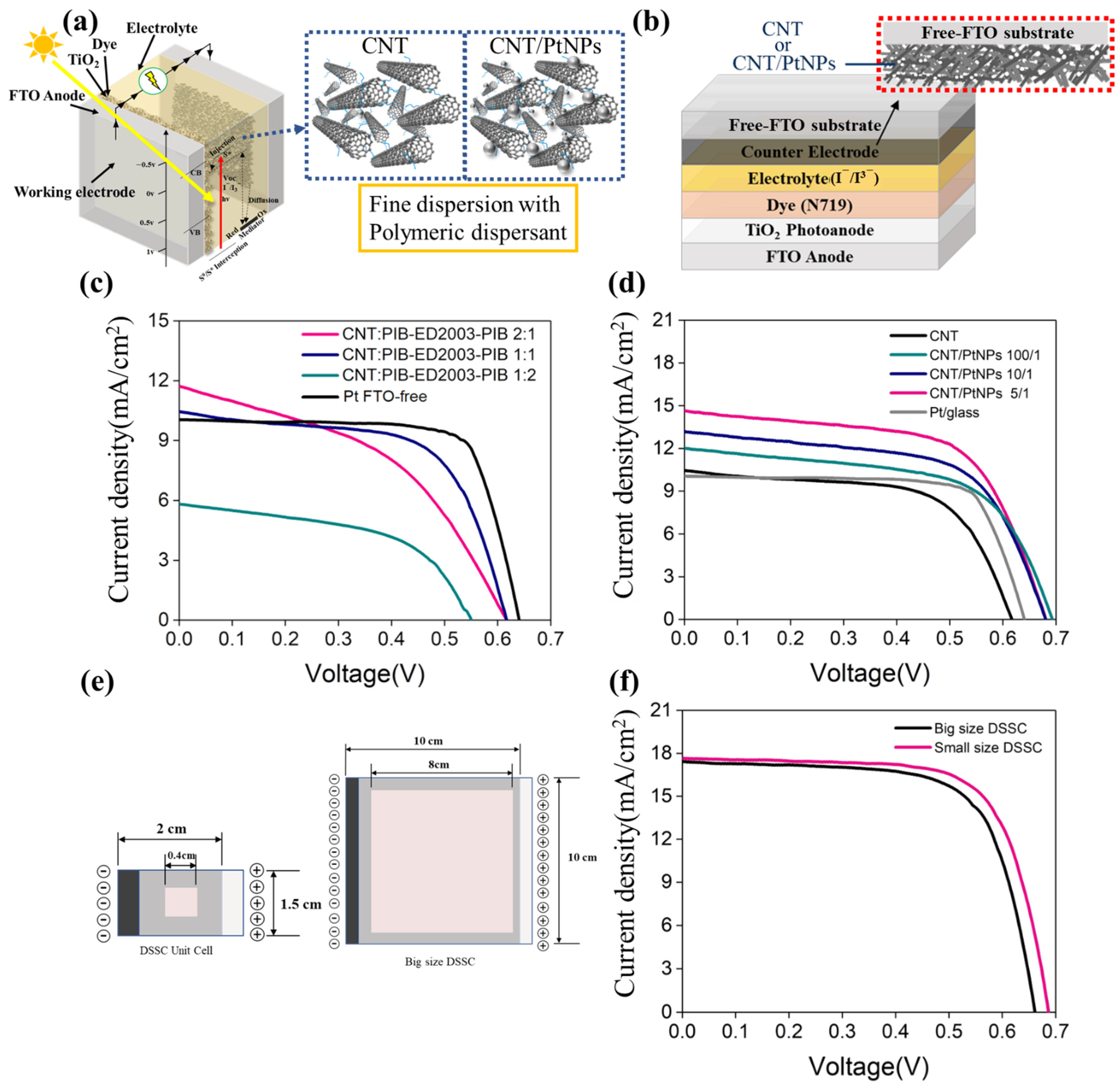 Polymers 13 03103 g004 Polymers 13 03103 g004