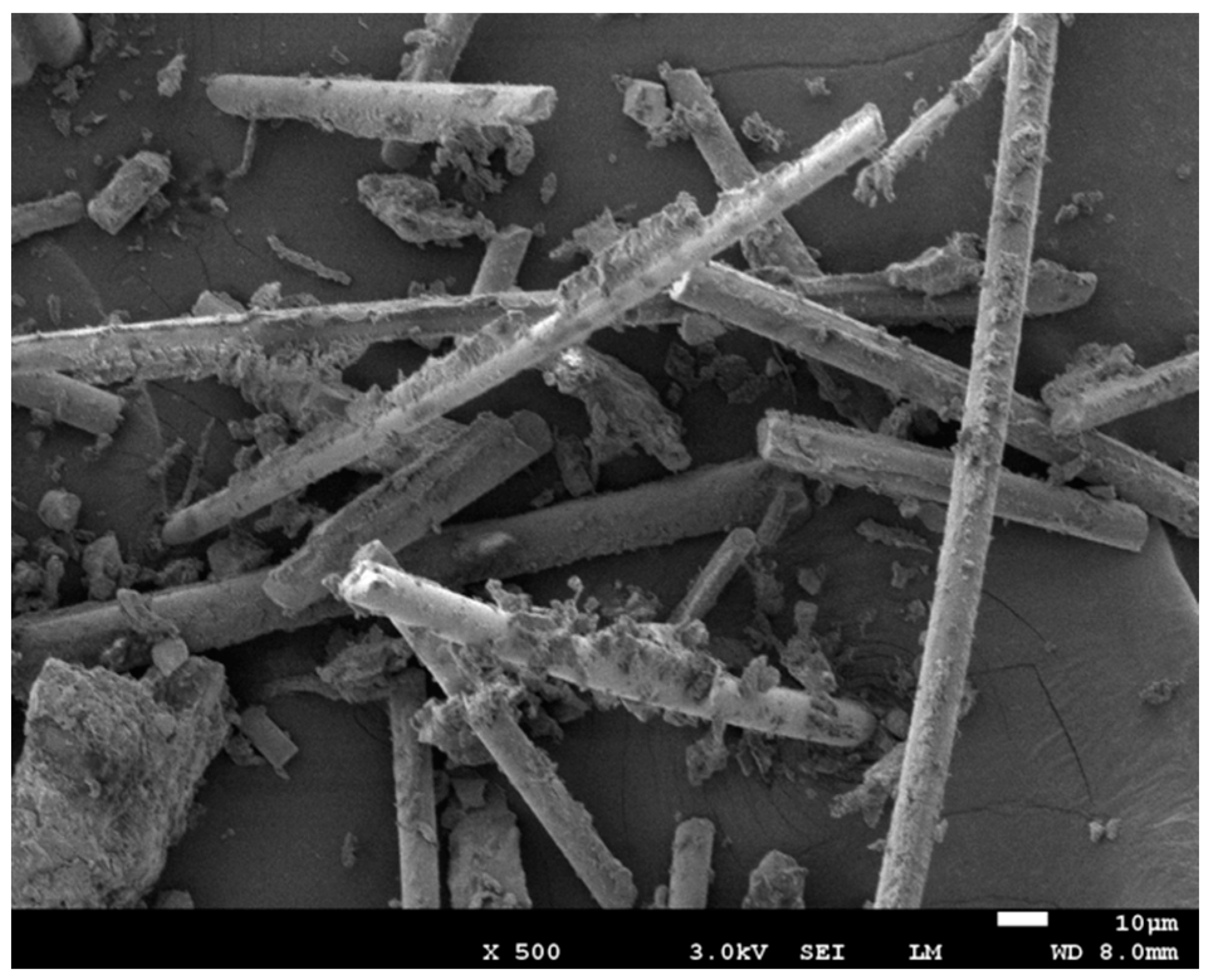 Polymers 13 03106 g001 550