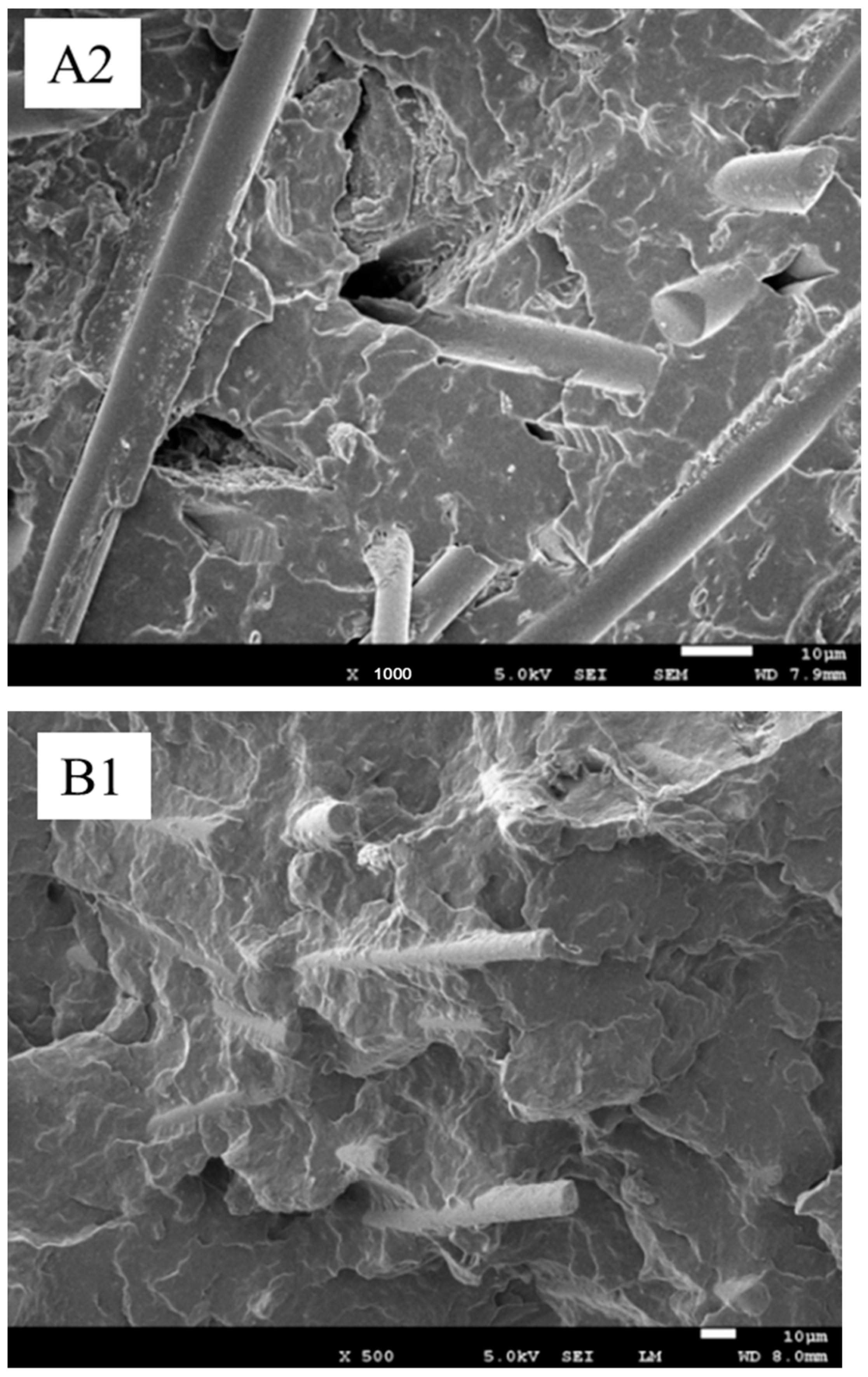 Polymers 13 03106 g010b 550
