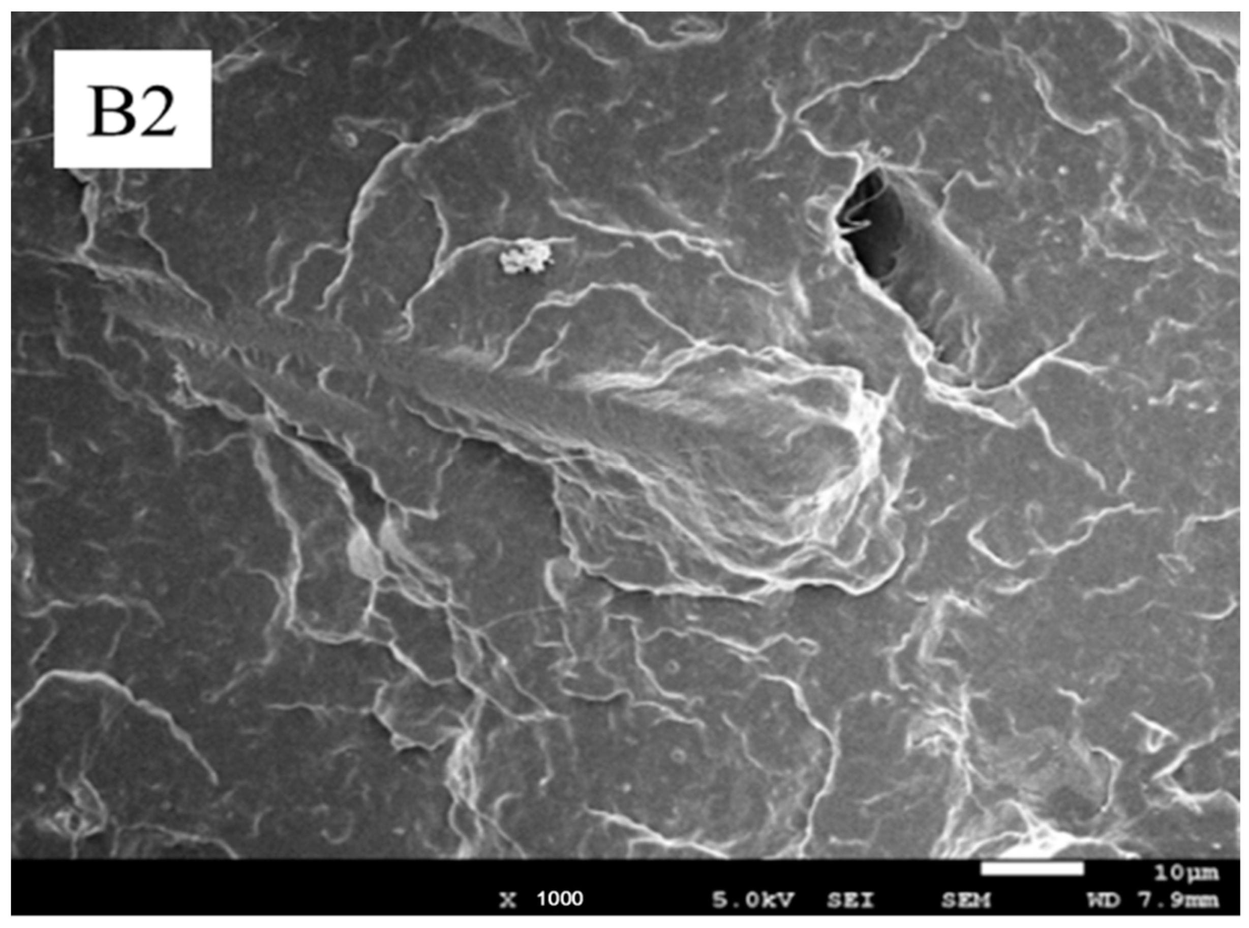 Polymers 13 03106 g010c 550