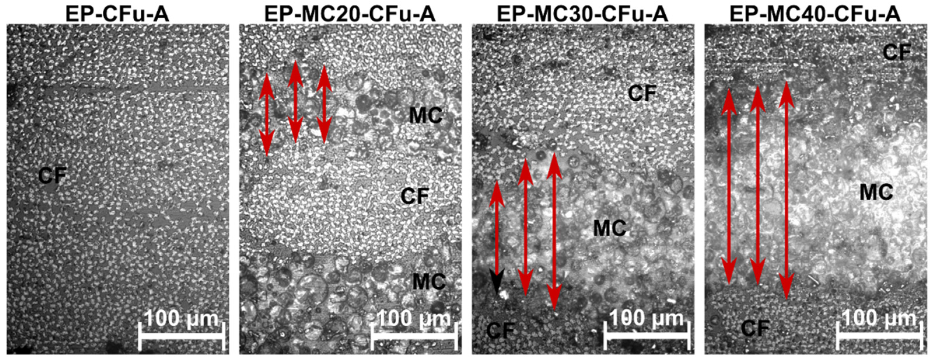 Polymers 13 03108 g001 550
