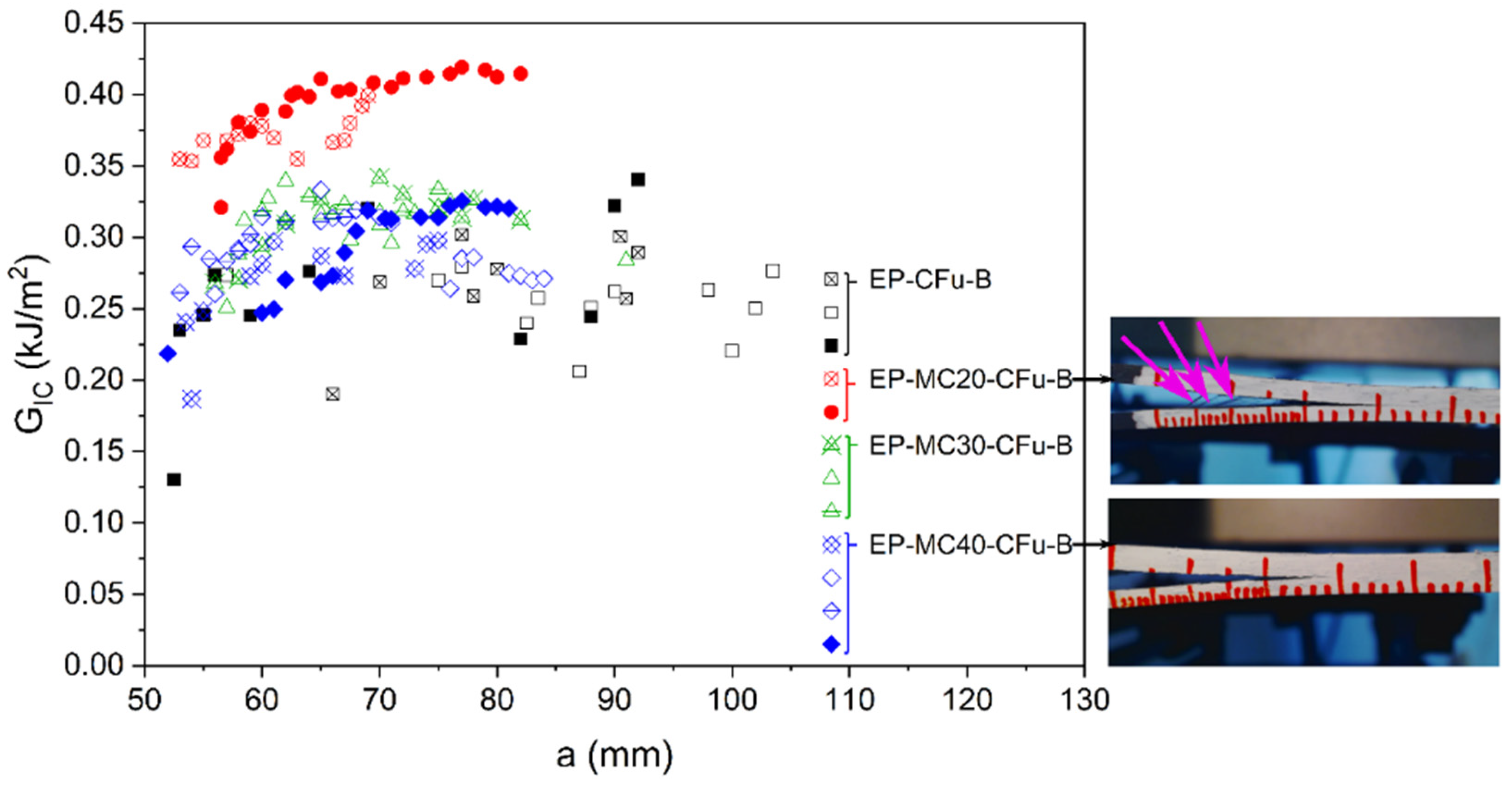 Polymers 13 03108 g004 550