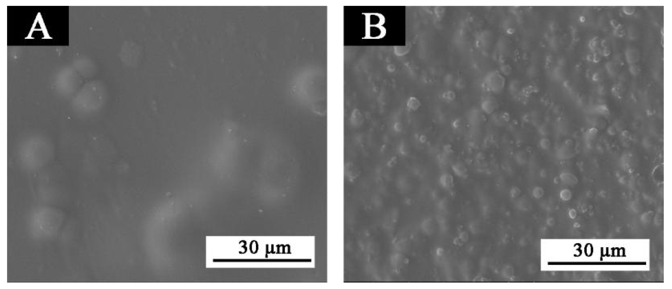 Polymers 13 03109 g006 550