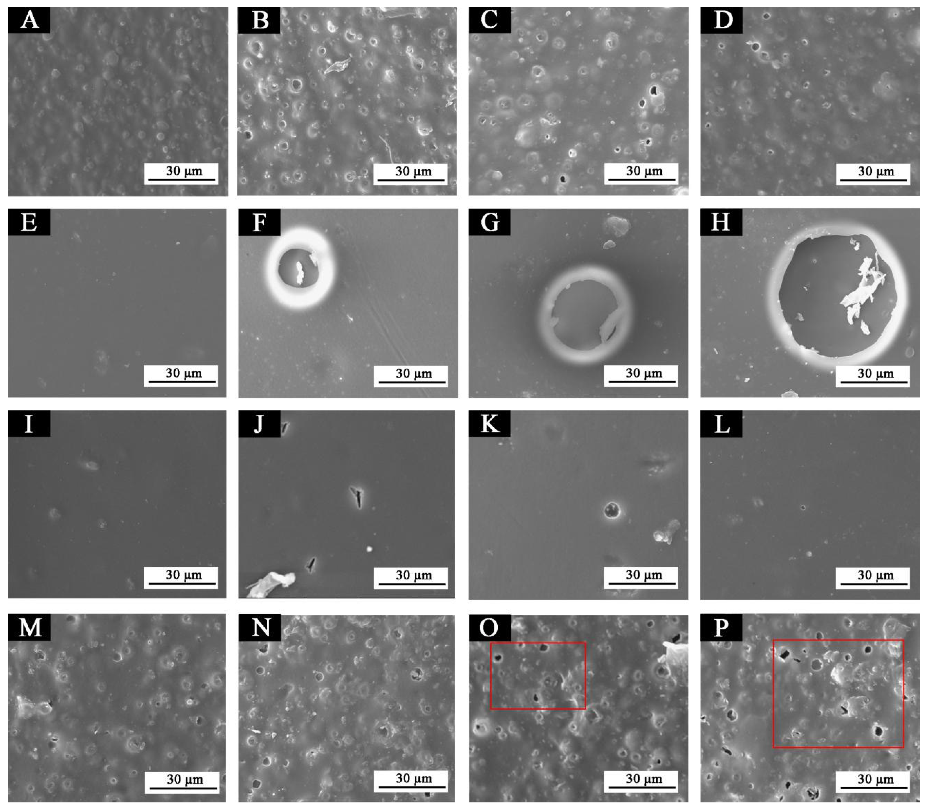 Polymers 13 03109 g013 550