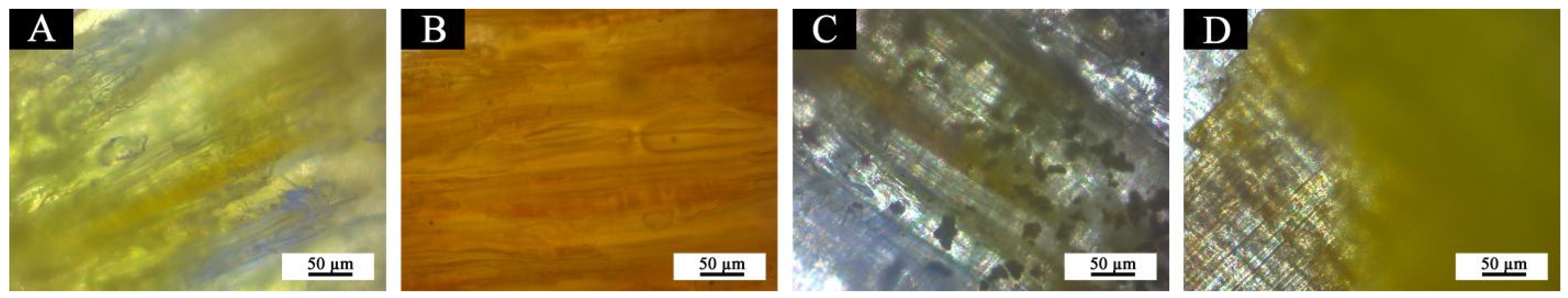Polymers 13 03109 g018 550