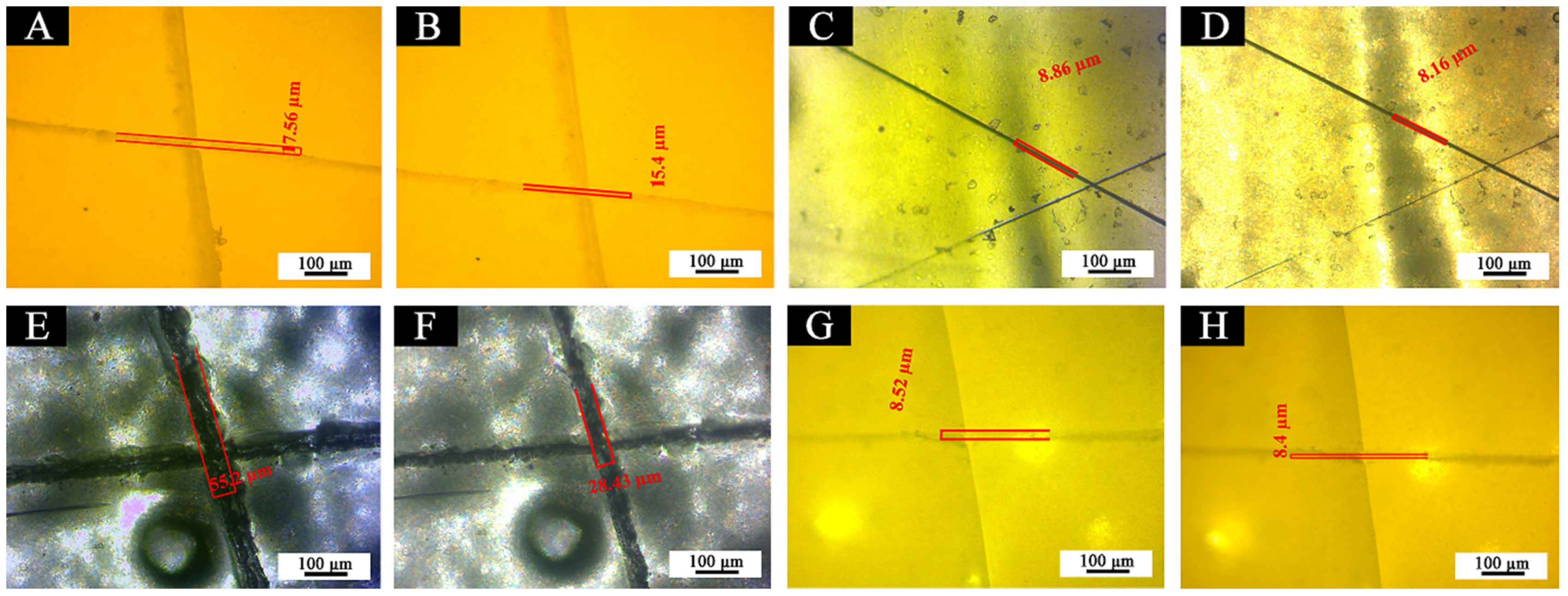 Polymers 13 03109 g019 550