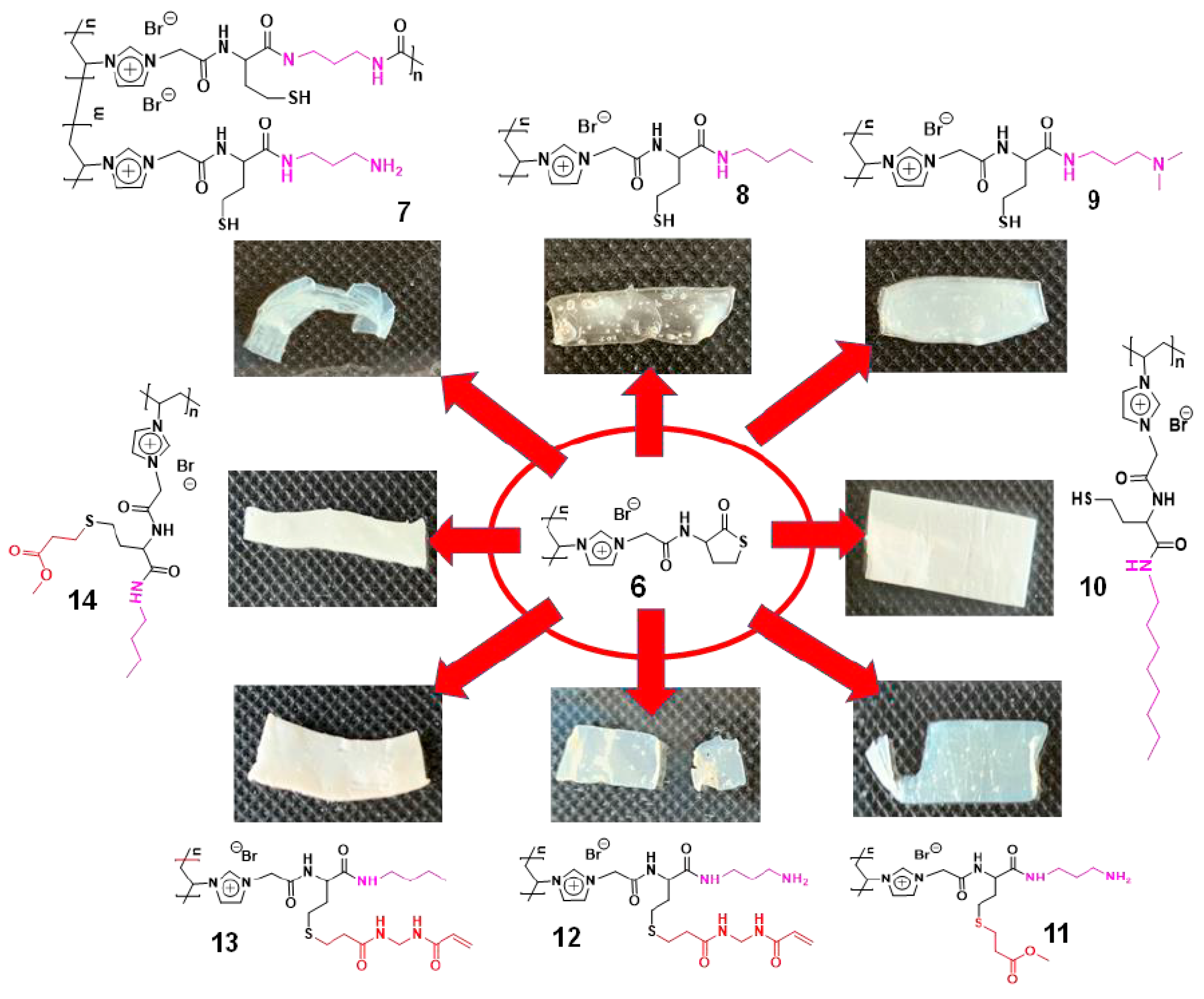 Polymers 13 03110 g005