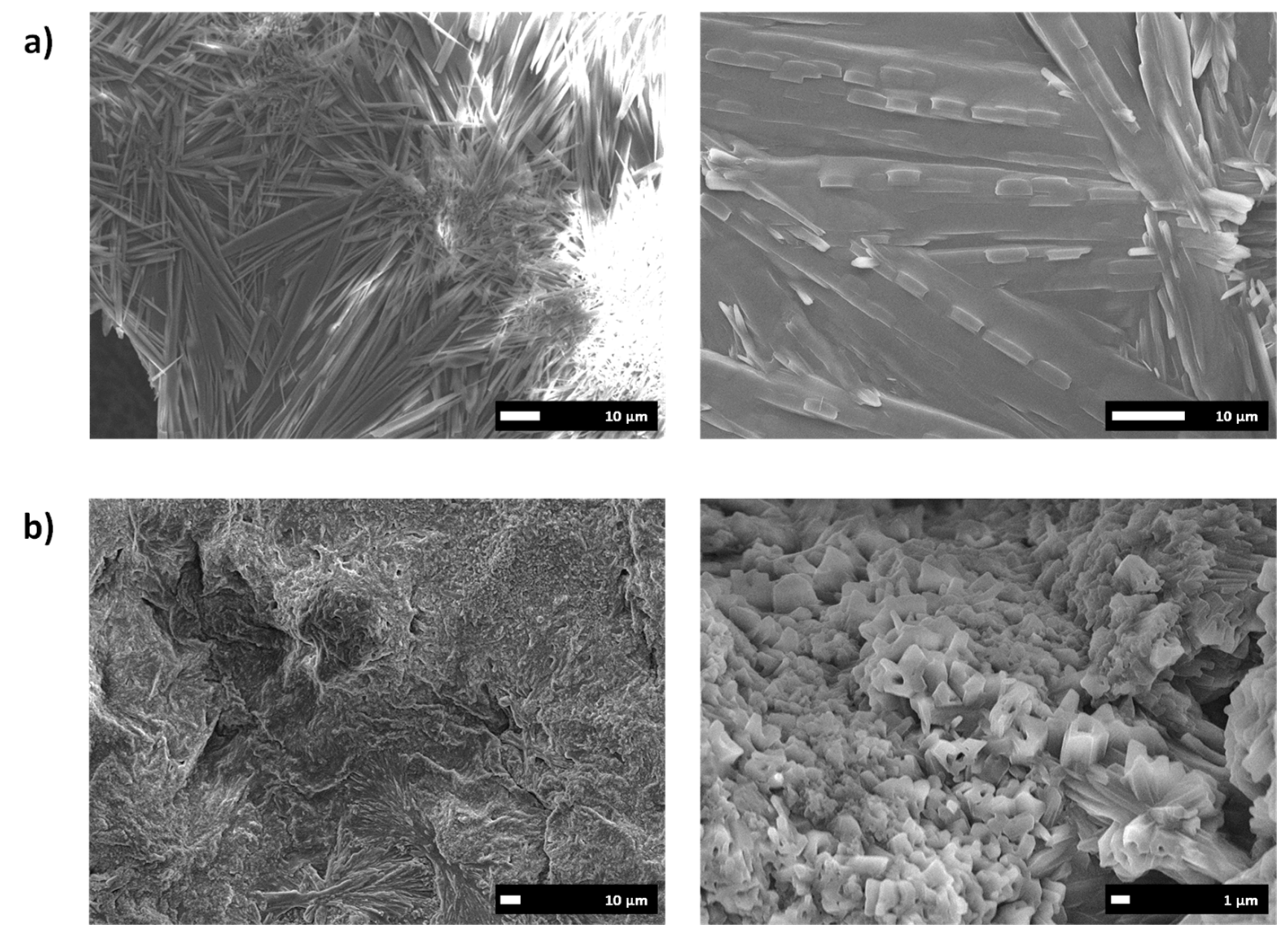 Polymers 13 03110 g006