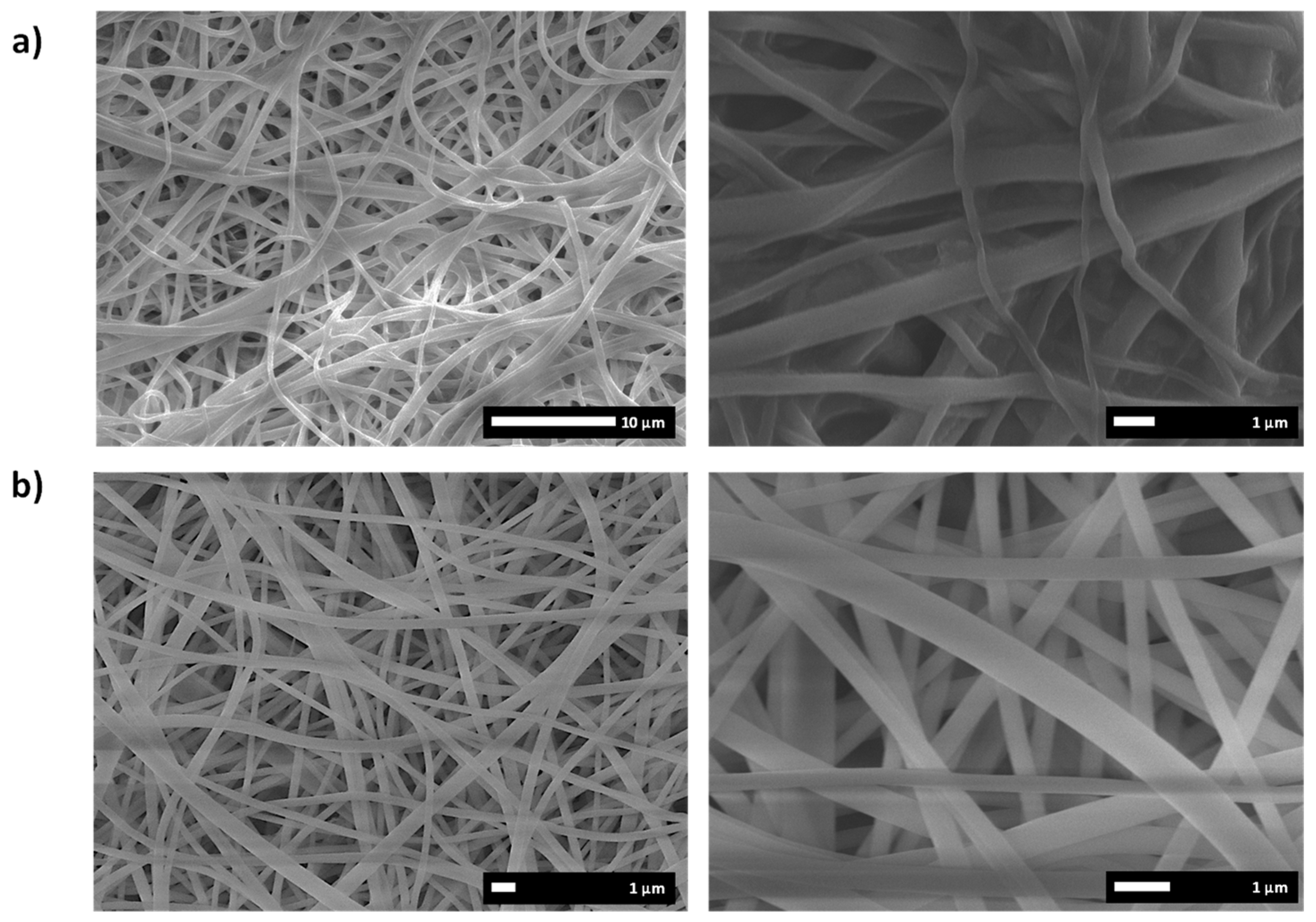 Polymers 13 03110 g007