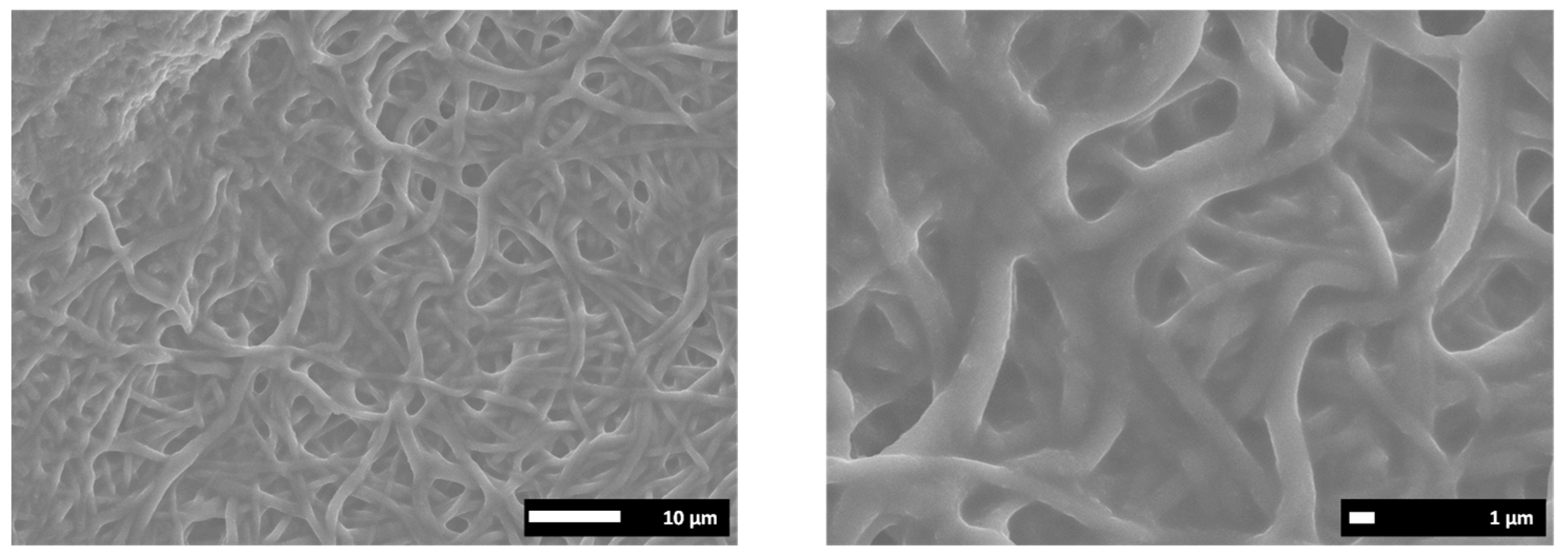 Polymers 13 03110 g008