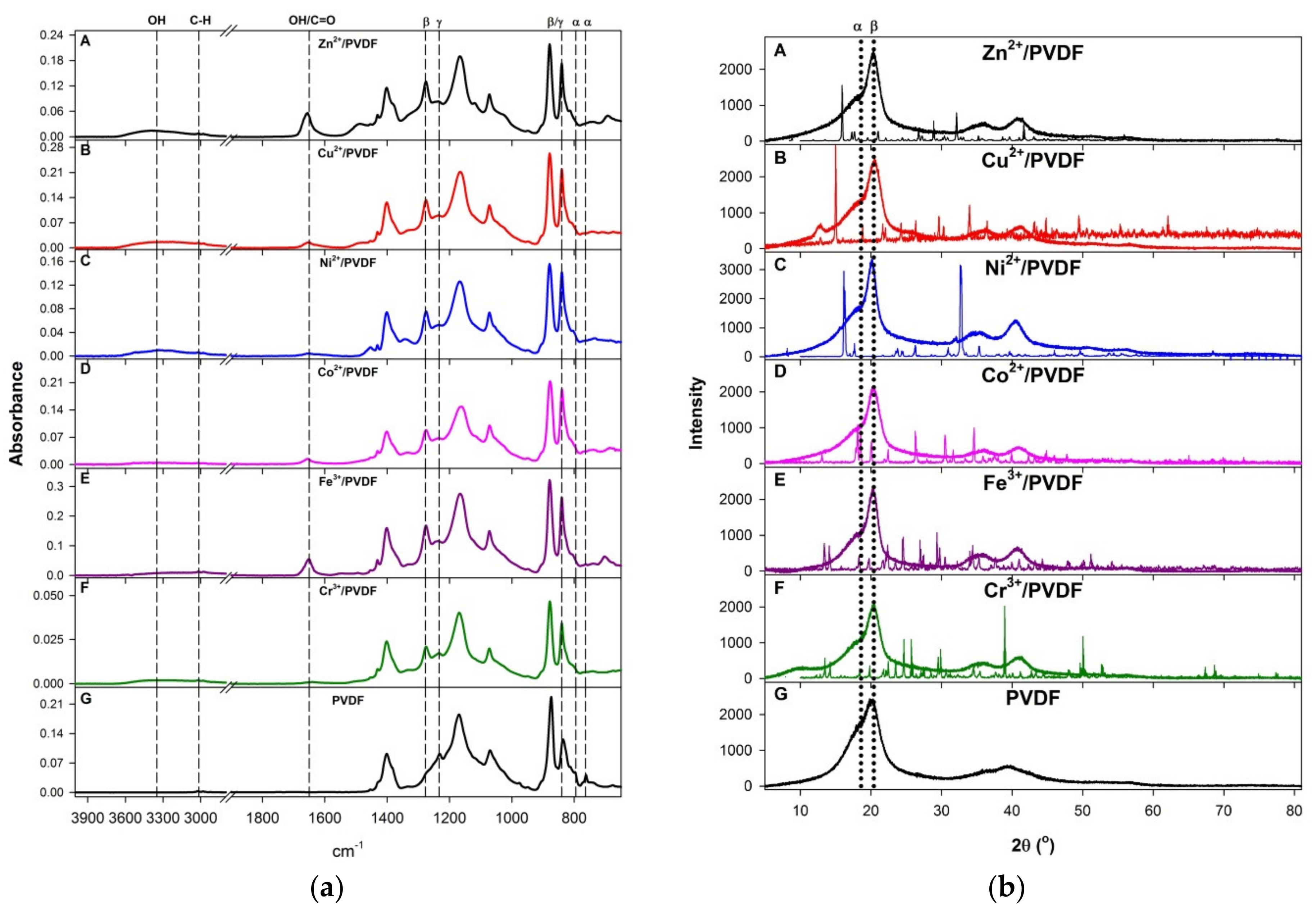 Polymers 13 03112 g001