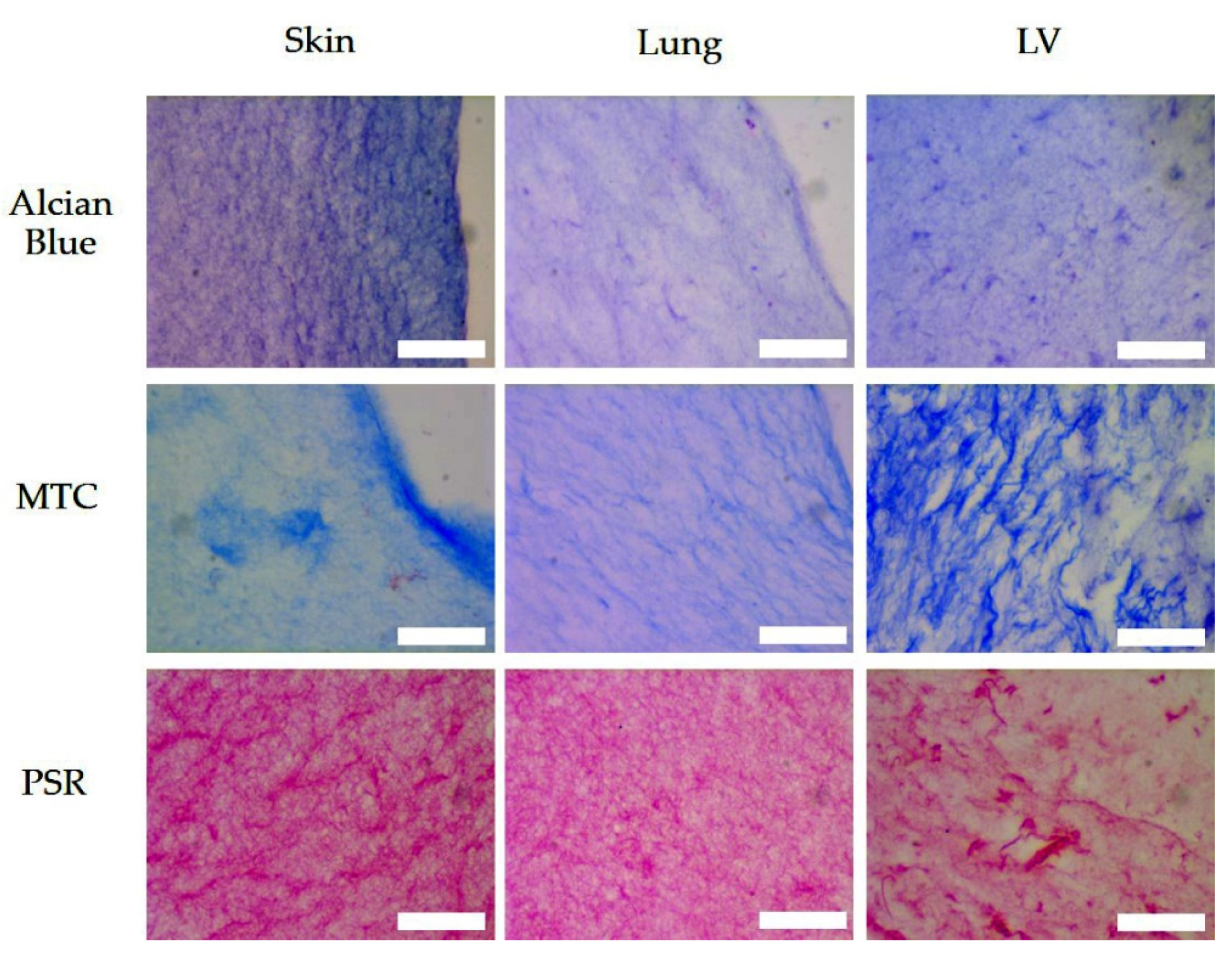 Polymers 13 03113 g006