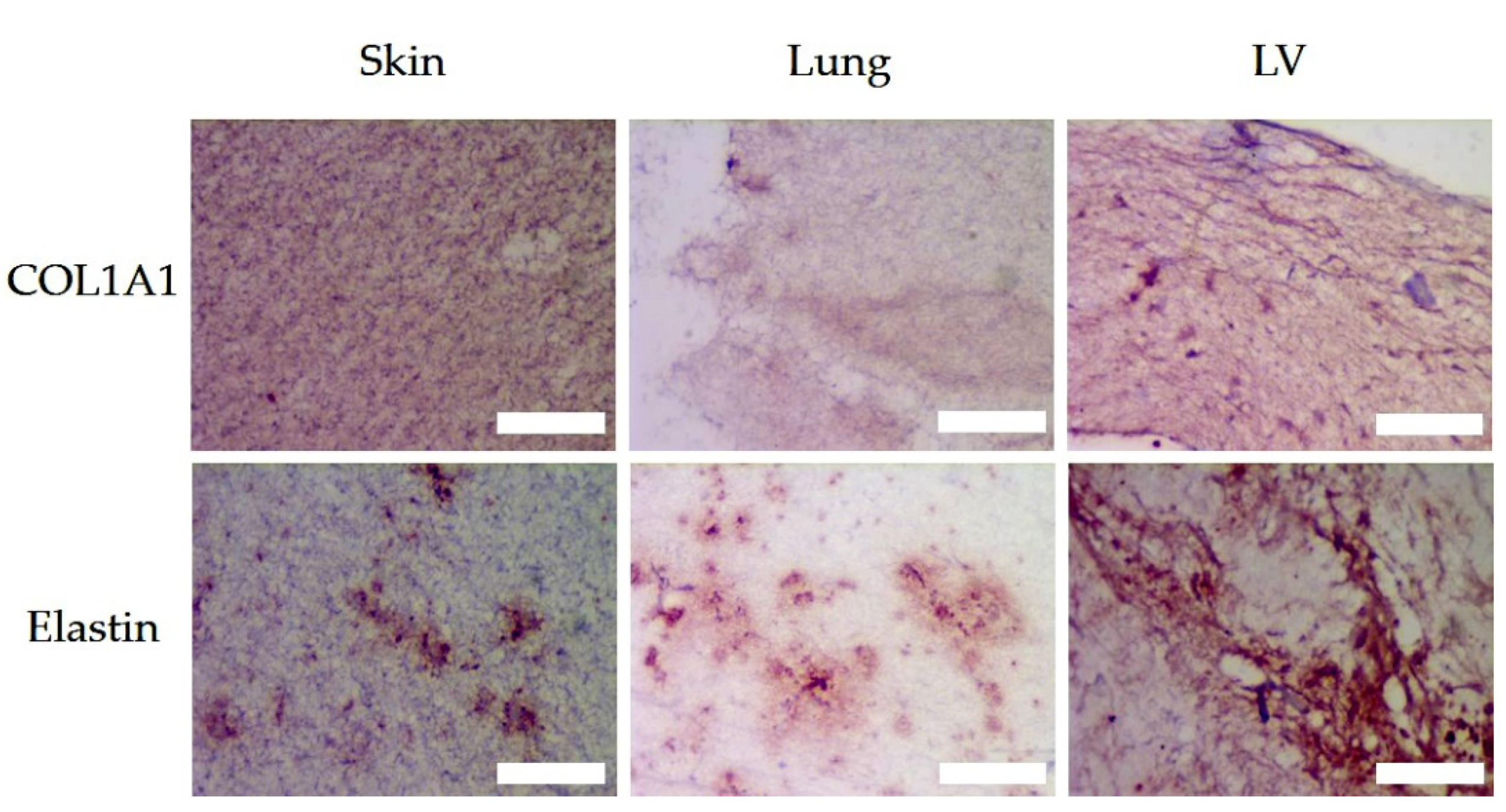 Polymers 13 03113 g007